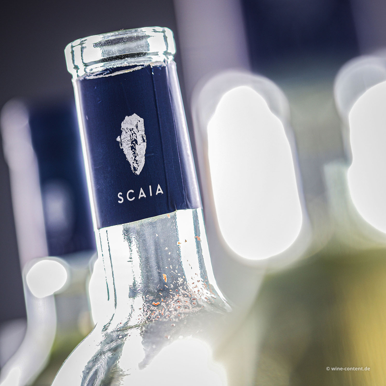 9er-Sparpaket Scaia Bianco 2025