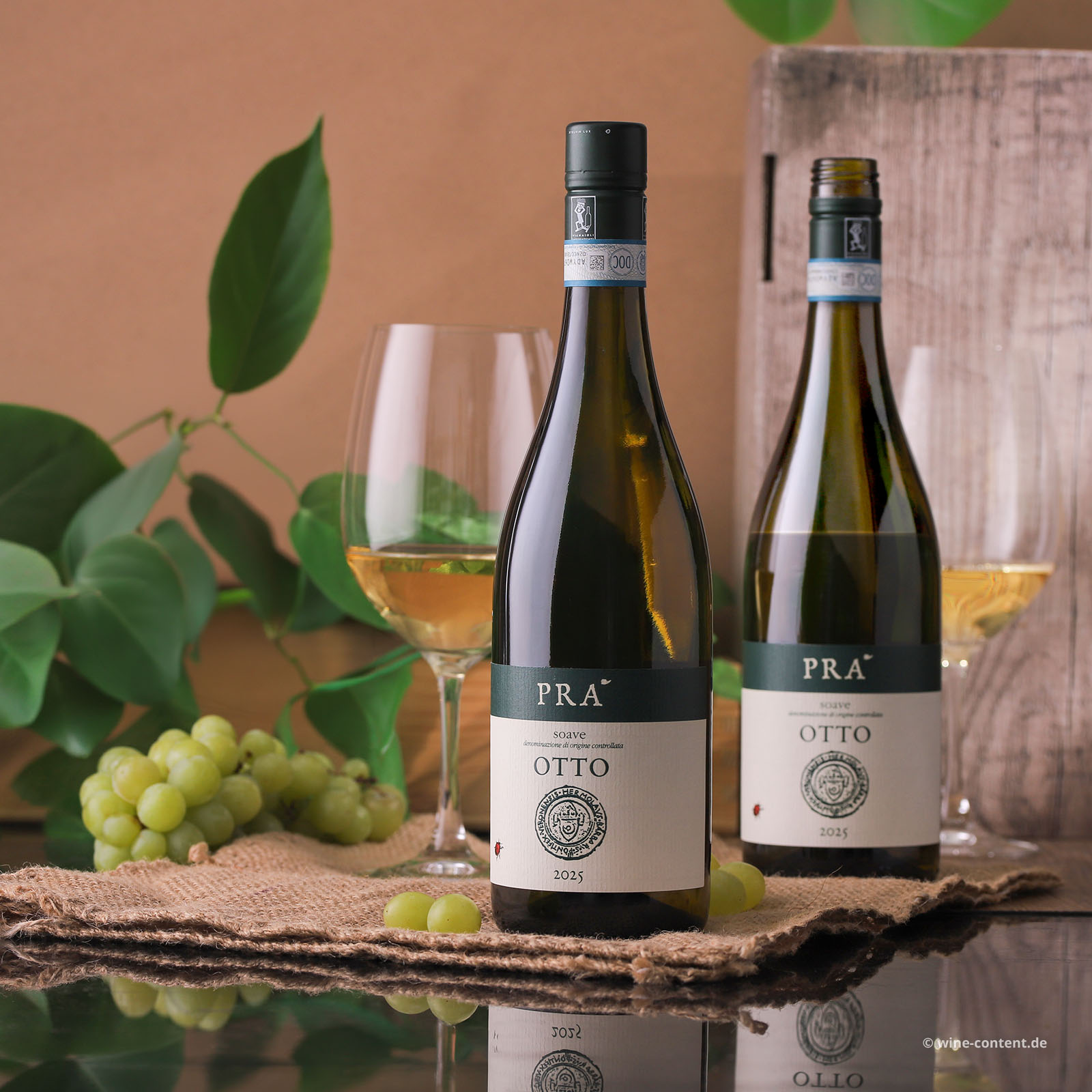 Soave 2025 Otto Bio