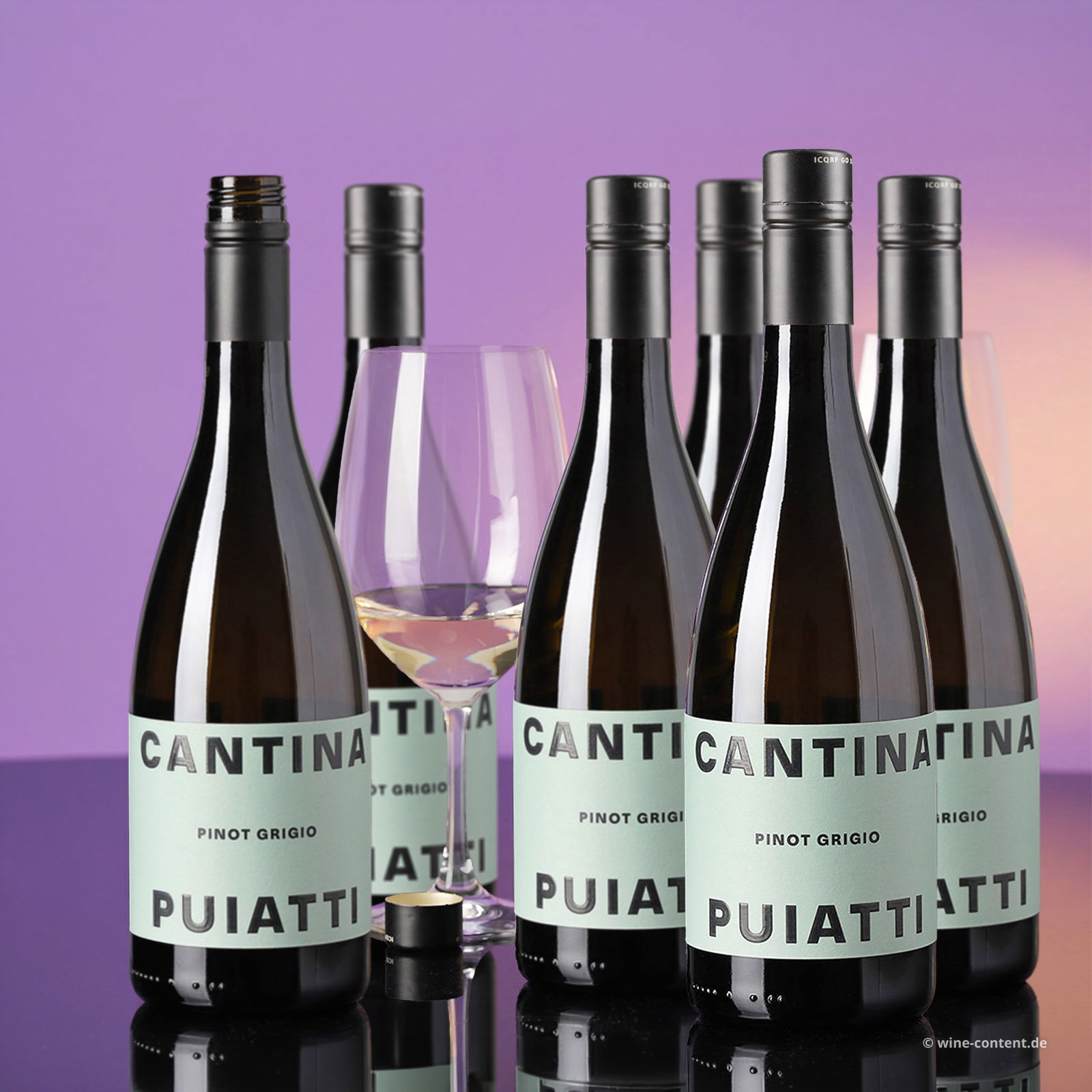 6er-Sparpaket Pinot Grigio 2025