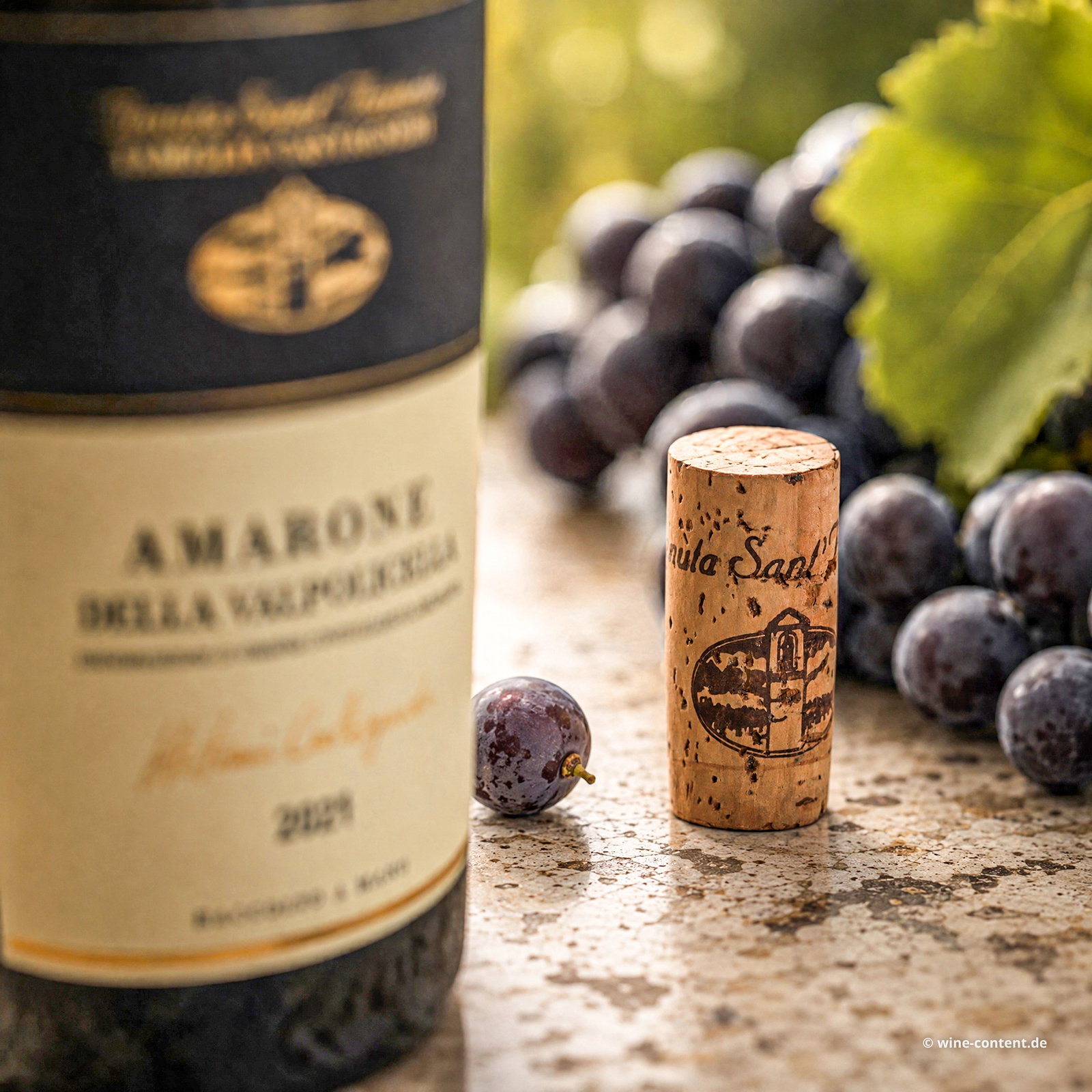 6er-Sparpaket Amarone 2021 Selezione Antonio Castagnedi