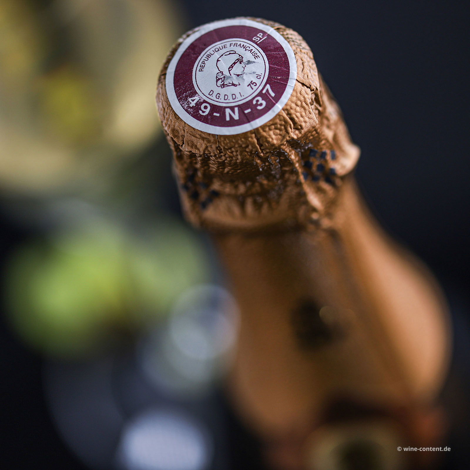 Crémant Saumur Blanc 2022 Trésor Brut