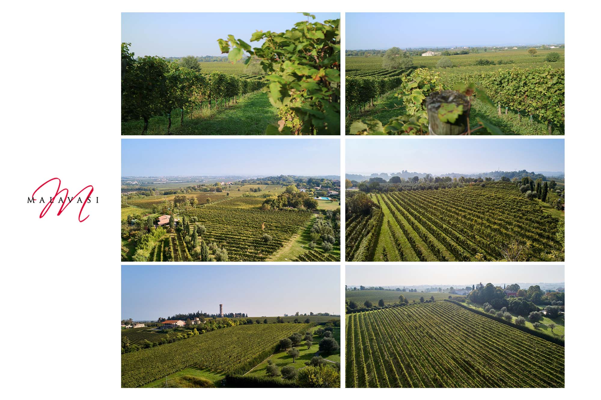 Lugana 2024 Camilla Lugana 2024 Camilla