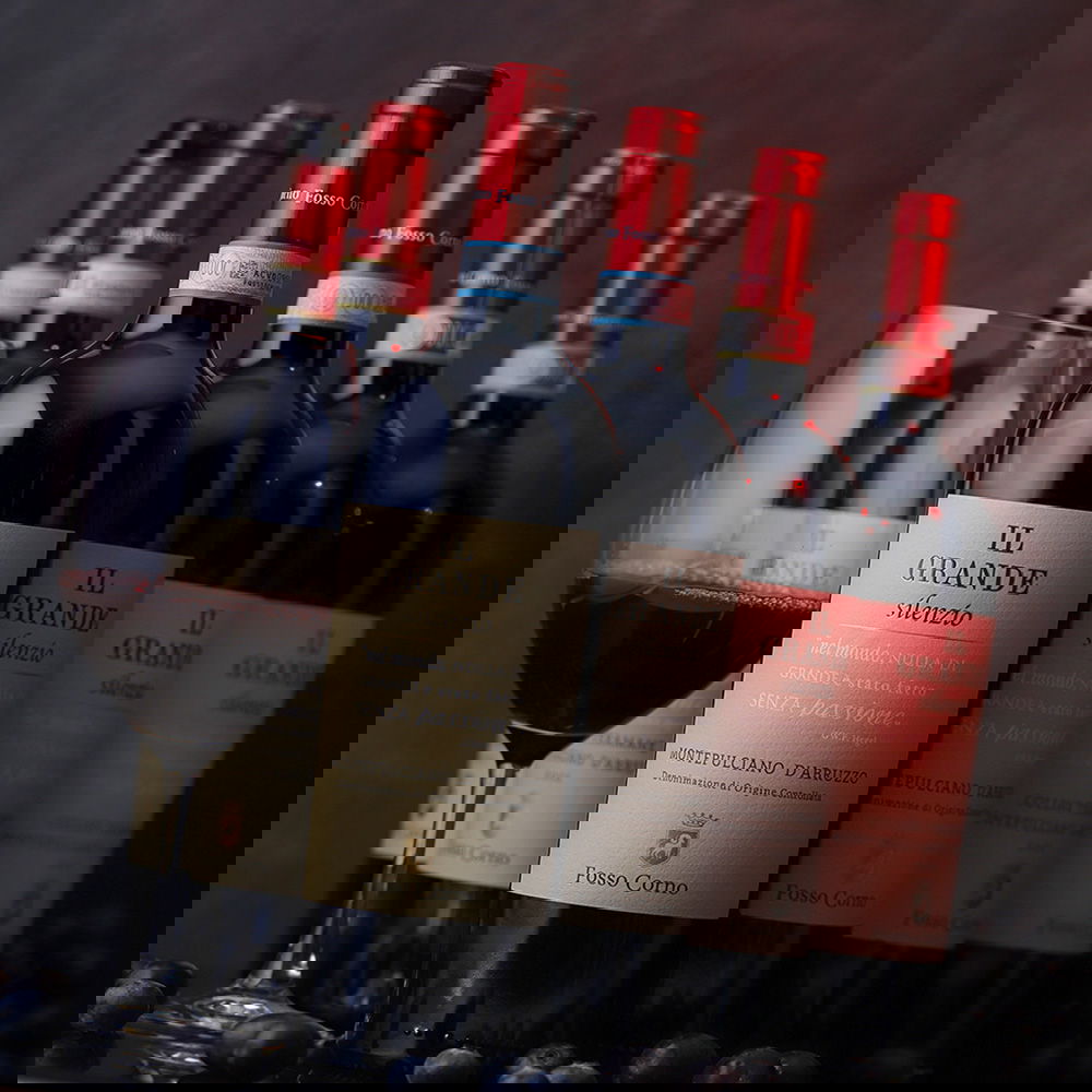 6er-Sparpaket Montepulciano d'Abruzzo 2022 Il Grande Silenzio