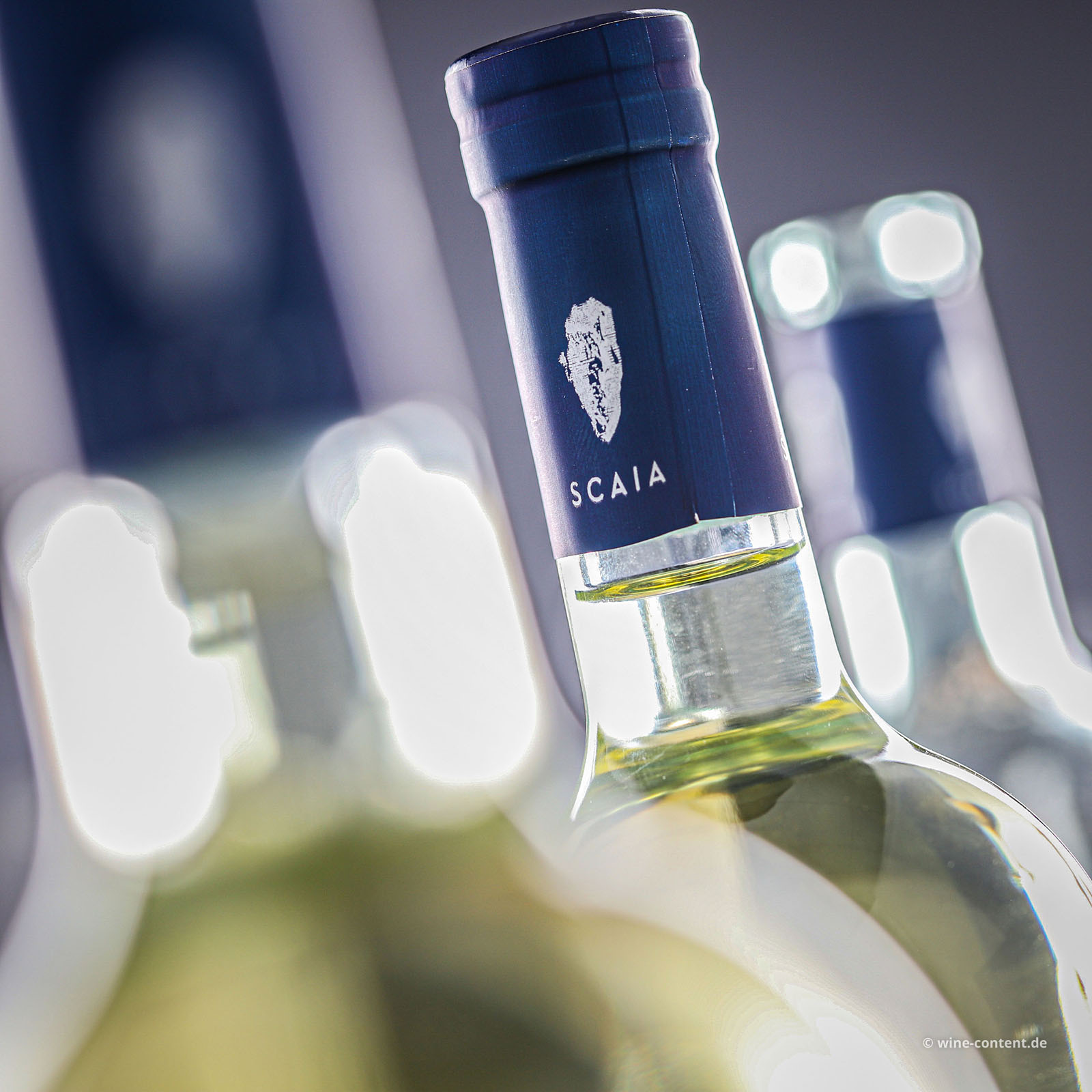 6er-Sparpaket Scaia Bianco 2025