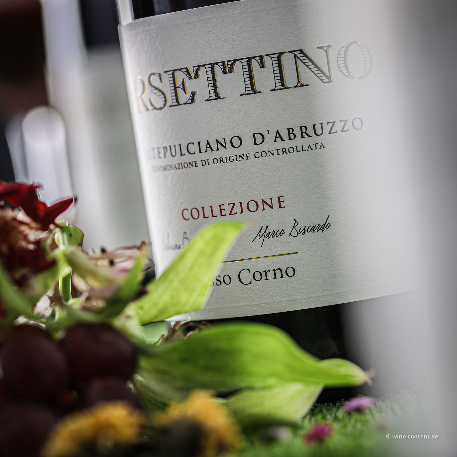 6er-Sparpaket Montepulciano d´Abruzzo 2023 Orsettino