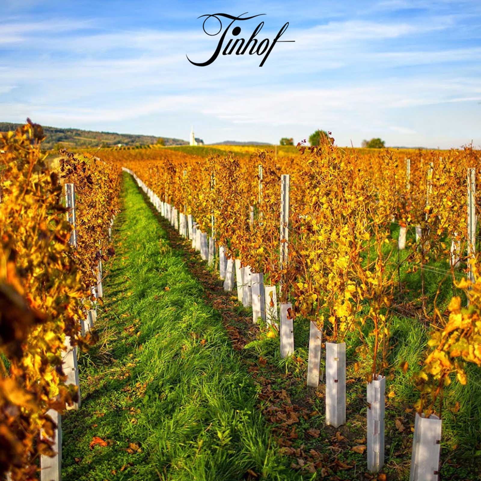 Neuburger 2020 Ried Golden Erd Bio