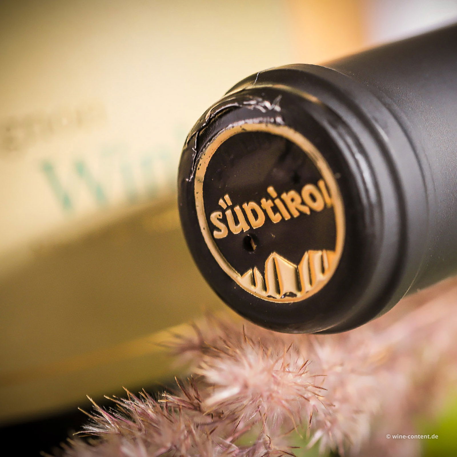 Sauvignon Blanc 2024 Winkl