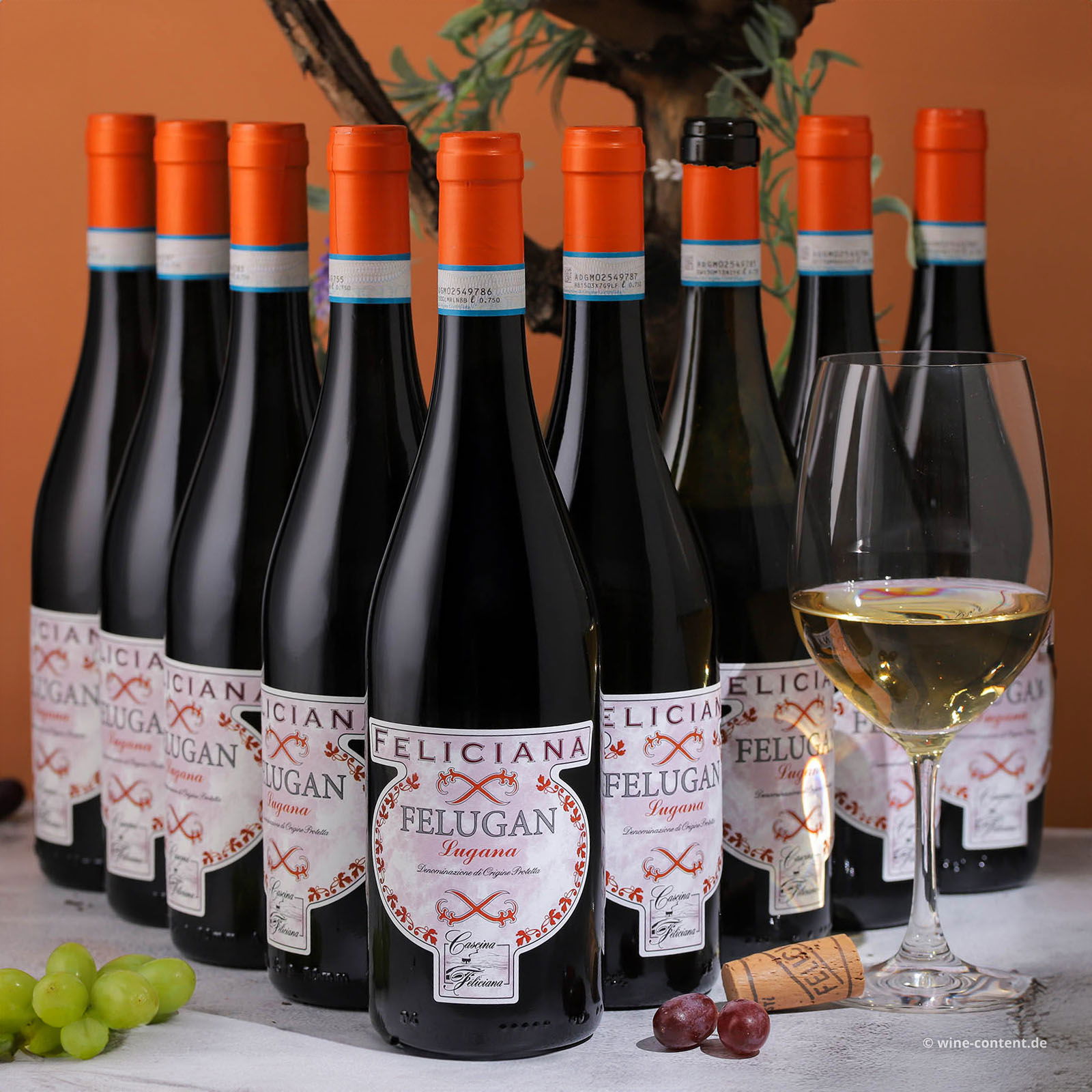 9er-Sparpaket Lugana 2025 Felugan