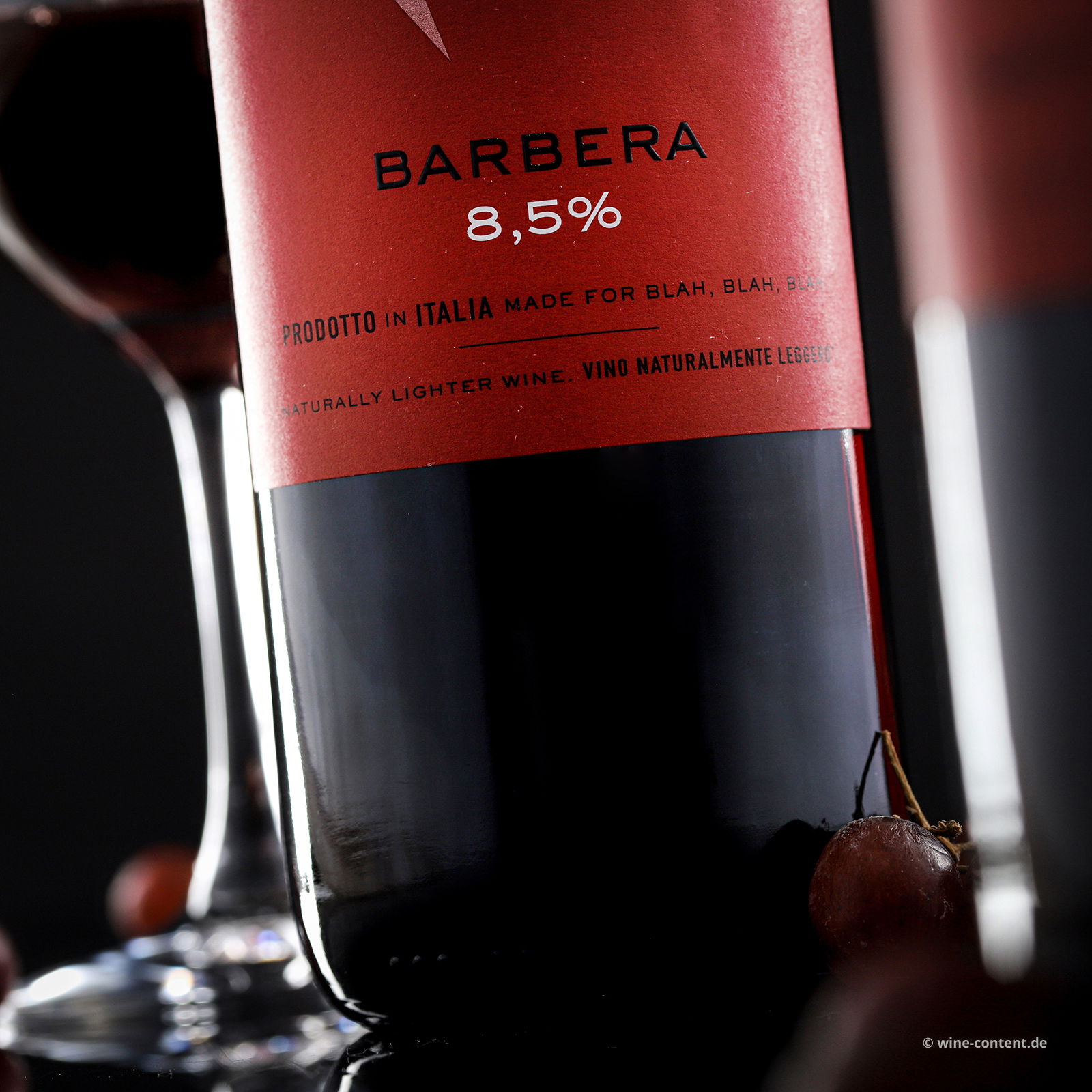 Barbera 2024 Sip & Talk 8,5%