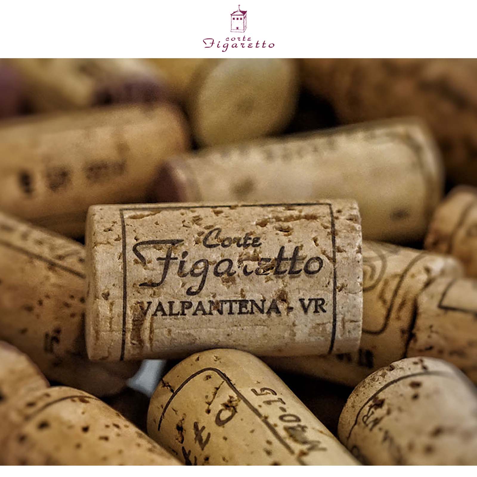 Valpolicella Ripasso Superiore 2022