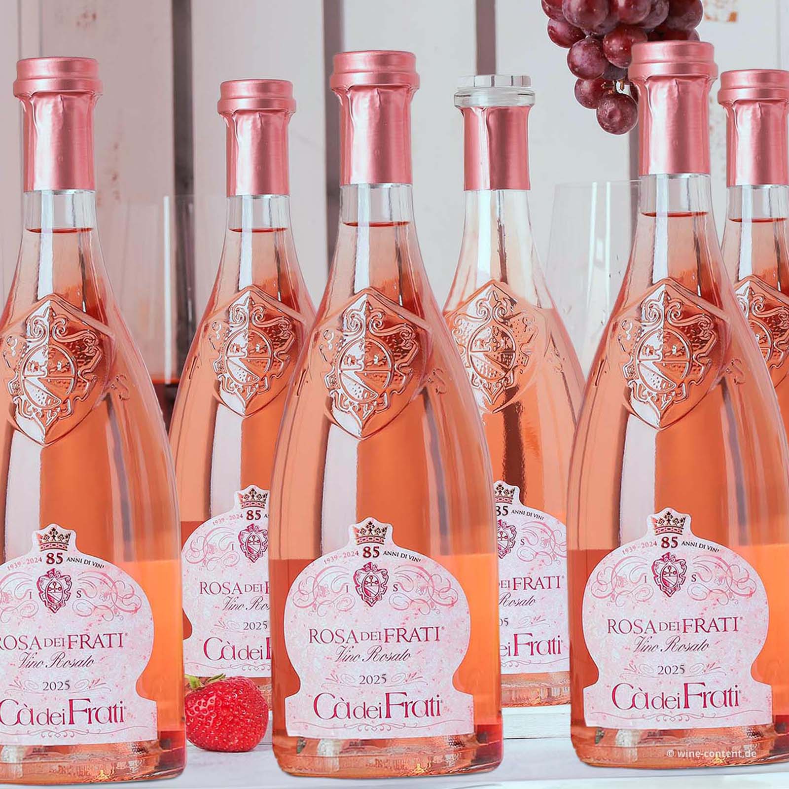 6er-Sparpaket Rosa dei Frati 2025