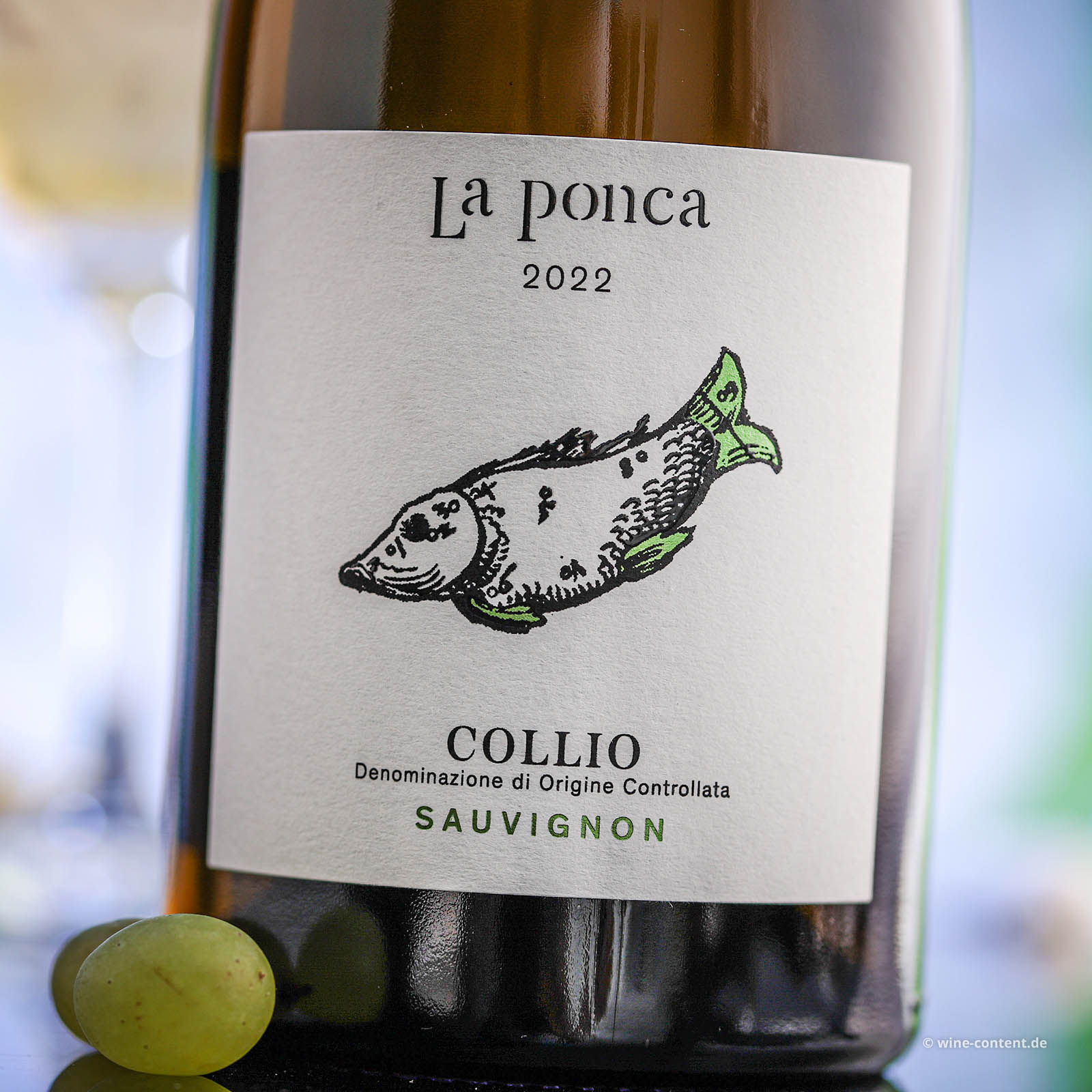 Sauvignon Collio 2022 Bio Sauvignon Collio 2022 Bio