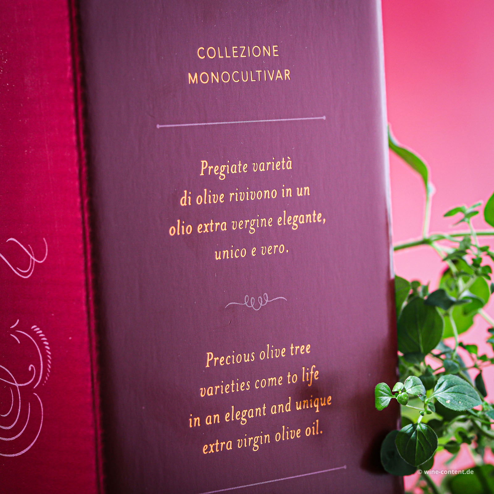 2 L Olivenöl Extra Vergine Simone Bag in Box