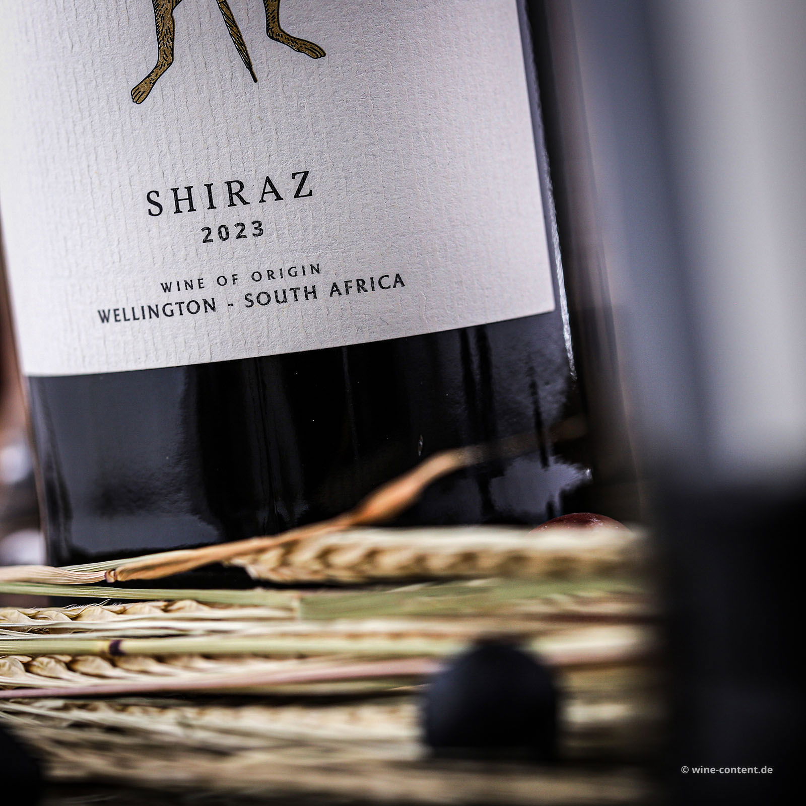 5+1 Sparpaket Shiraz 2023 Hasie
