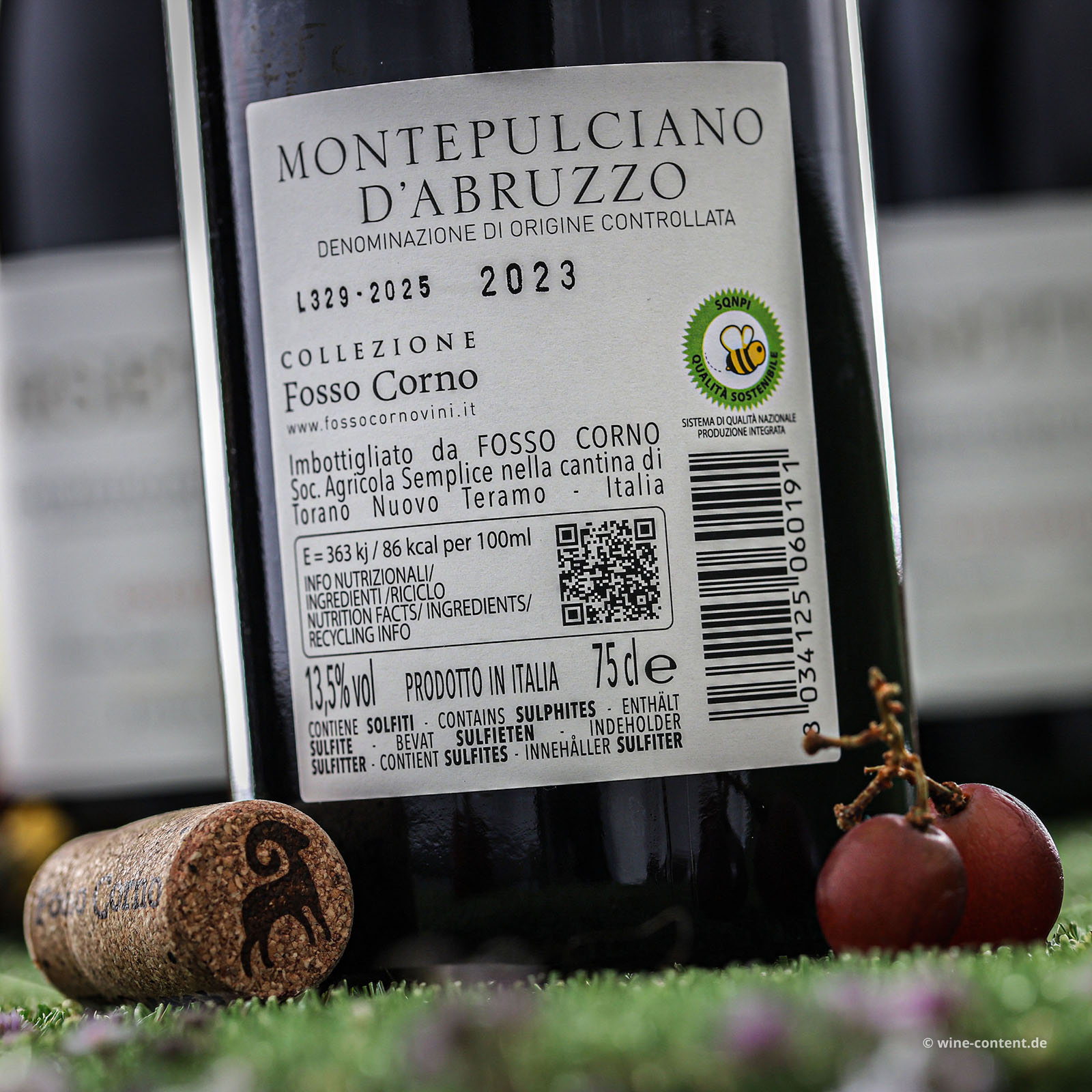 6er-Sparpaket Montepulciano d´Abruzzo 2023 Orsettino