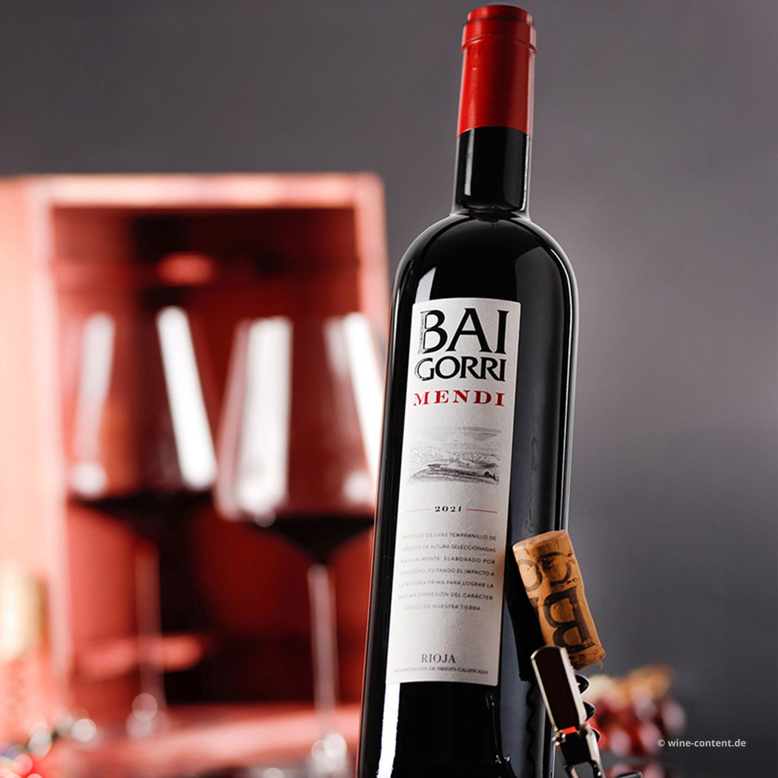 Rioja Crianza 2021 Mendi