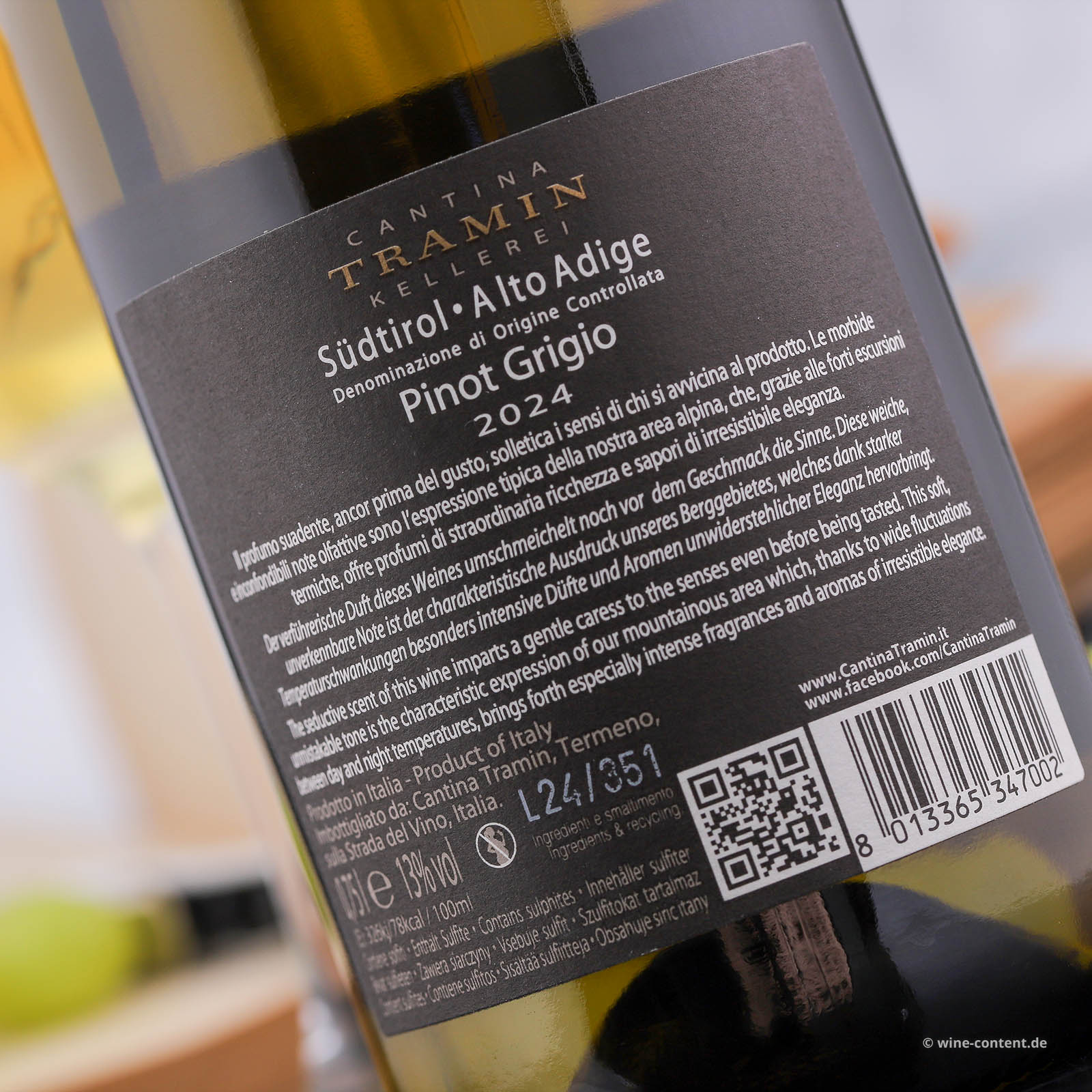 Pinot Grigio 2024 Classic