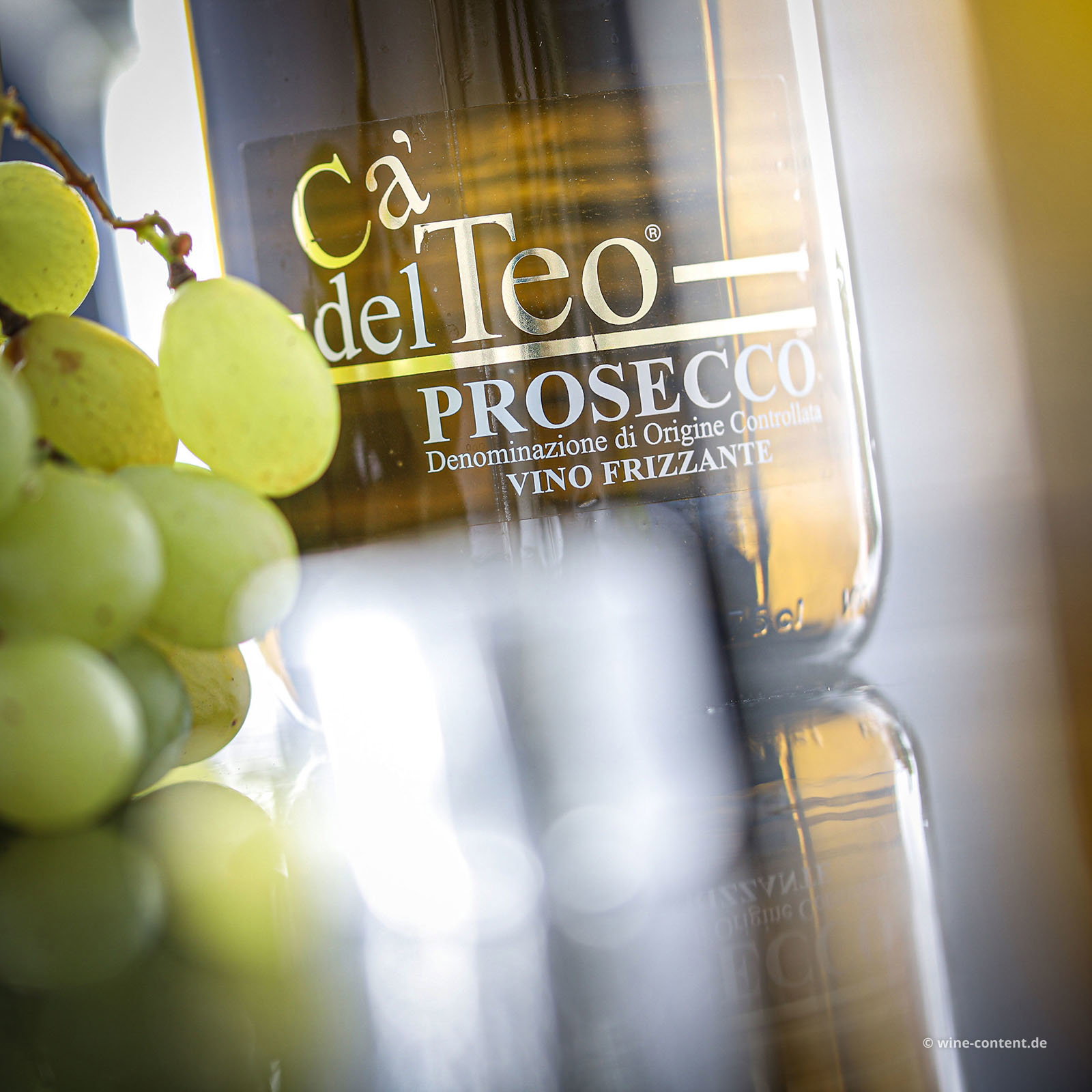 Prosecco Frizzante