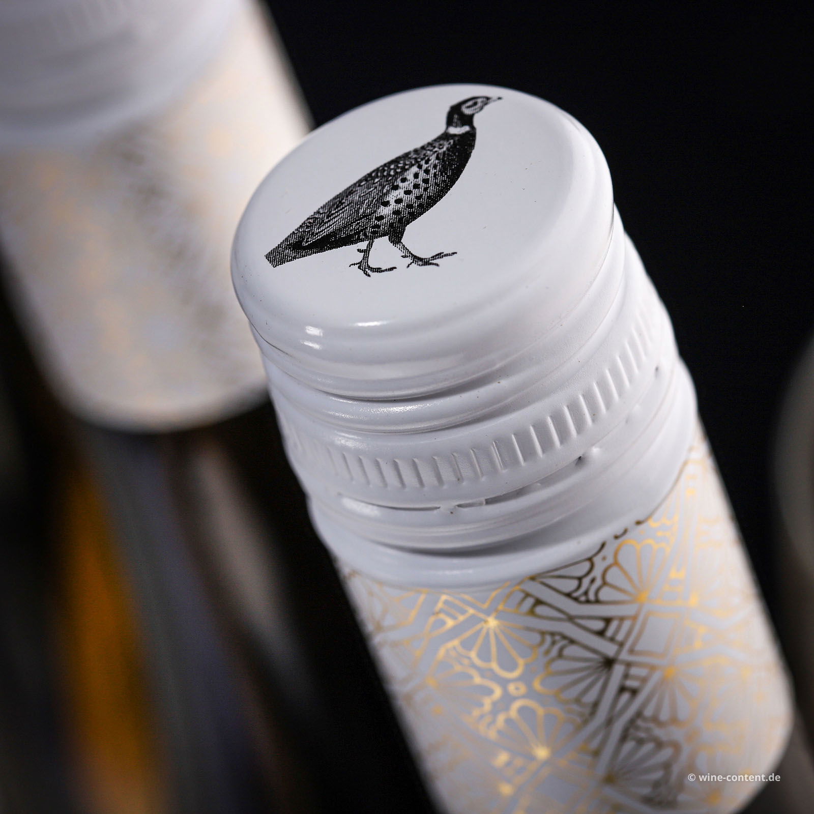 6er-Sparpaket Grauburgunder 2025 Gönnheim Bio