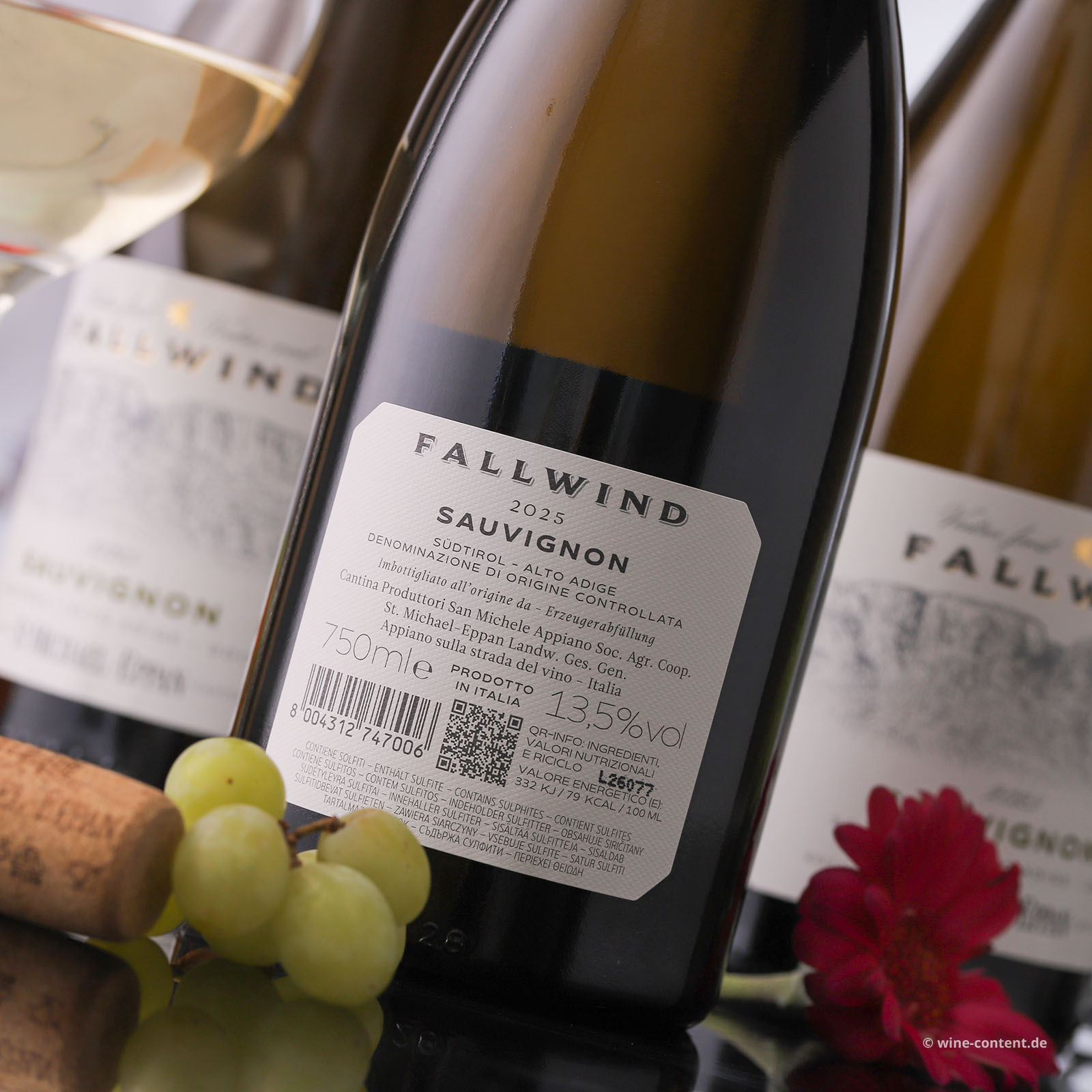 6er-Sparpaket Sauvignon Blanc 2025 Fallwind
