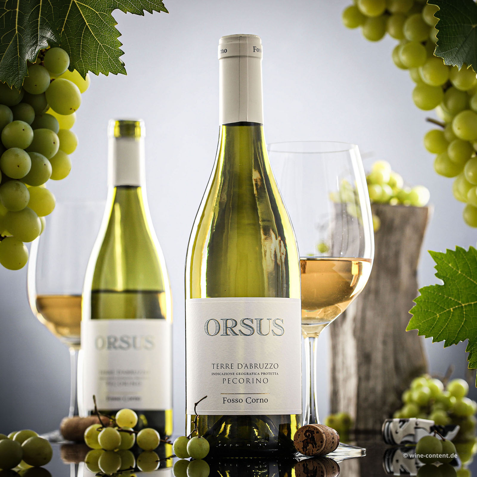 Pecorino Abruzzo 2025 Orsus