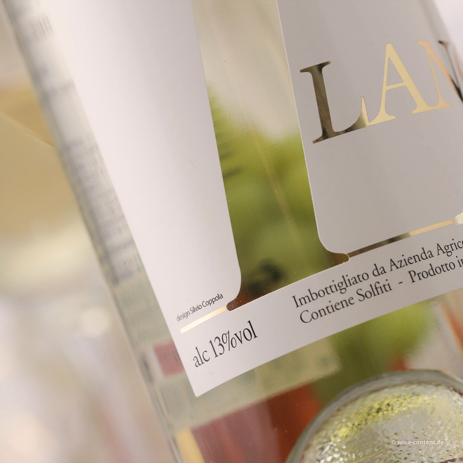 Arneis Langhe 2025 Blangé