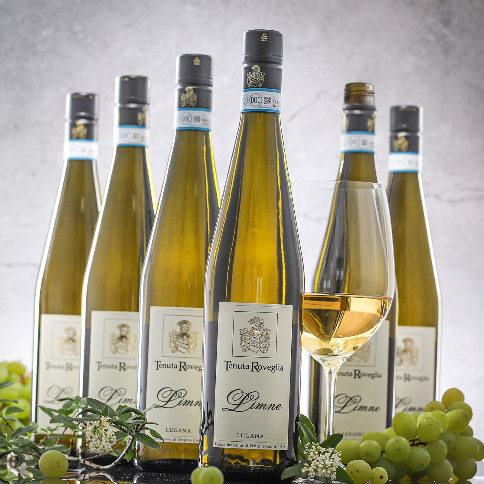 6er-Sparpaket Lugana 2025 Limne