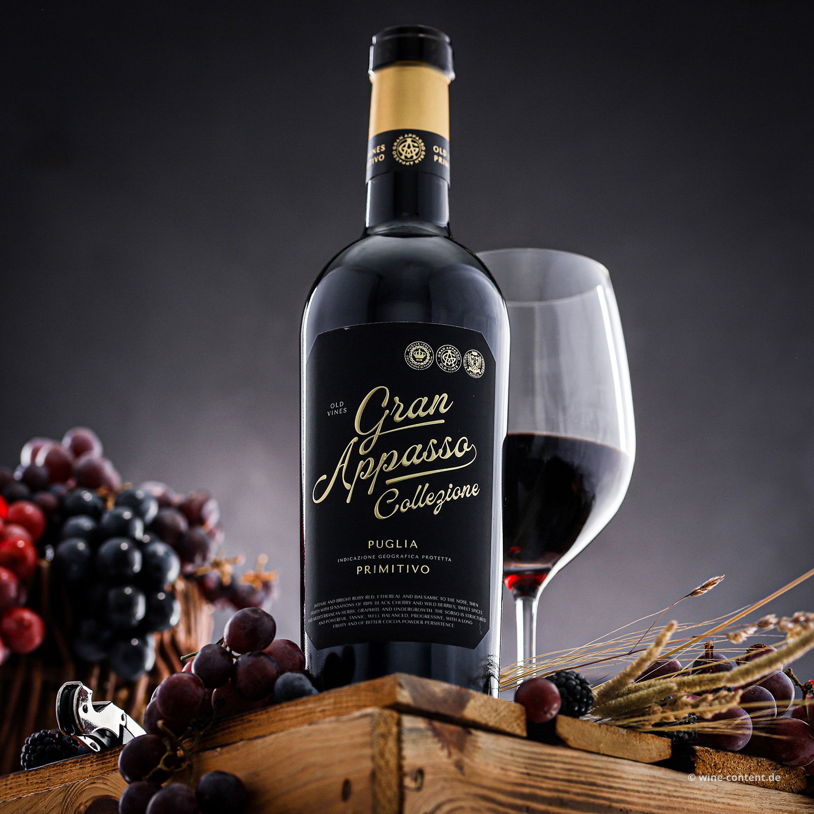 Primitivo 2023 Gran Appasso Collezione Primitivo 2023 Gran Appasso Collezione