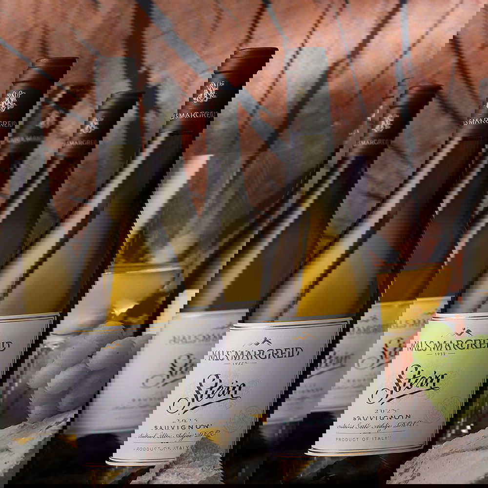 6er-Sparpaket Sauvignon Blanc 2025 Stein