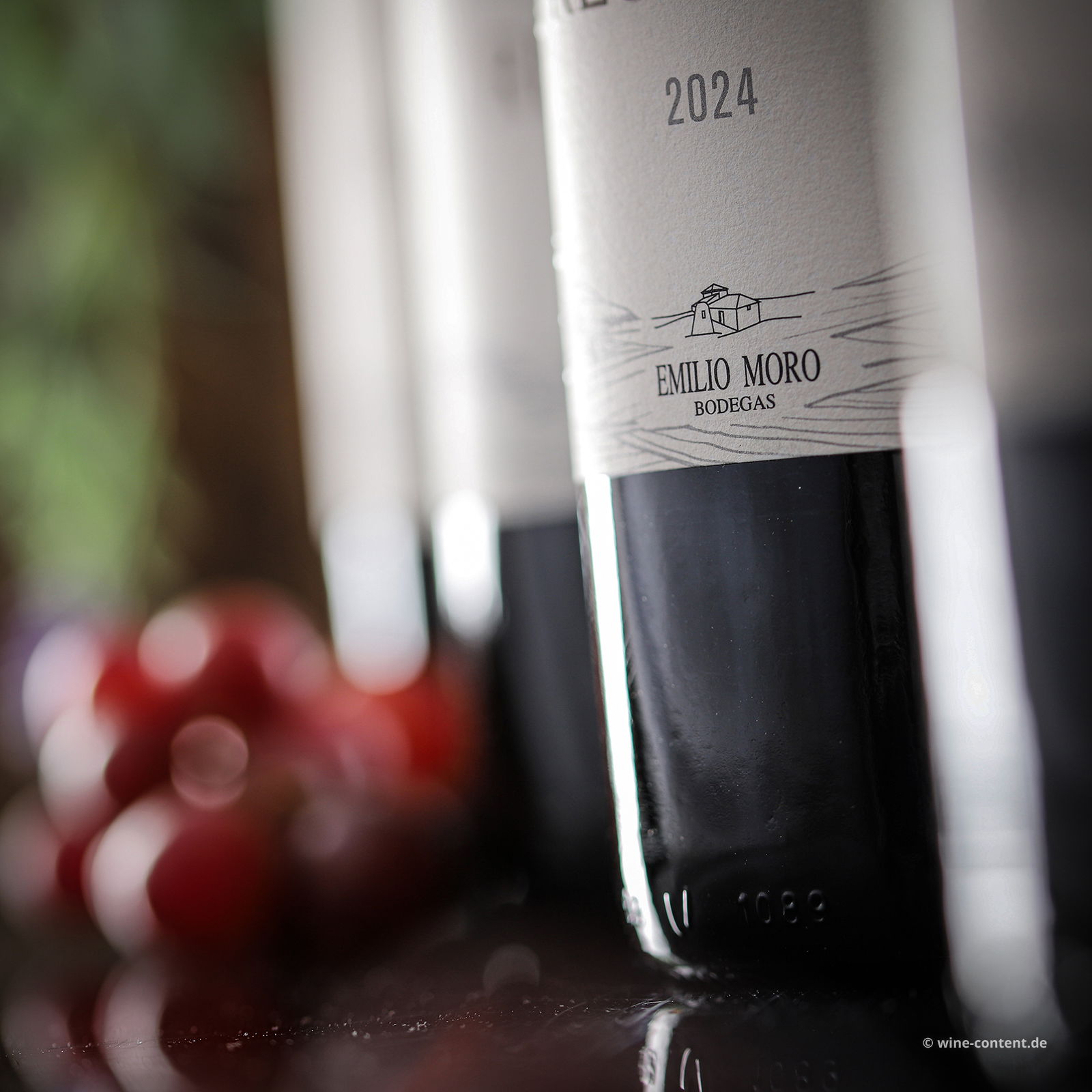 6er-Sparpaket Tempranillo 2024 Finca Resalso