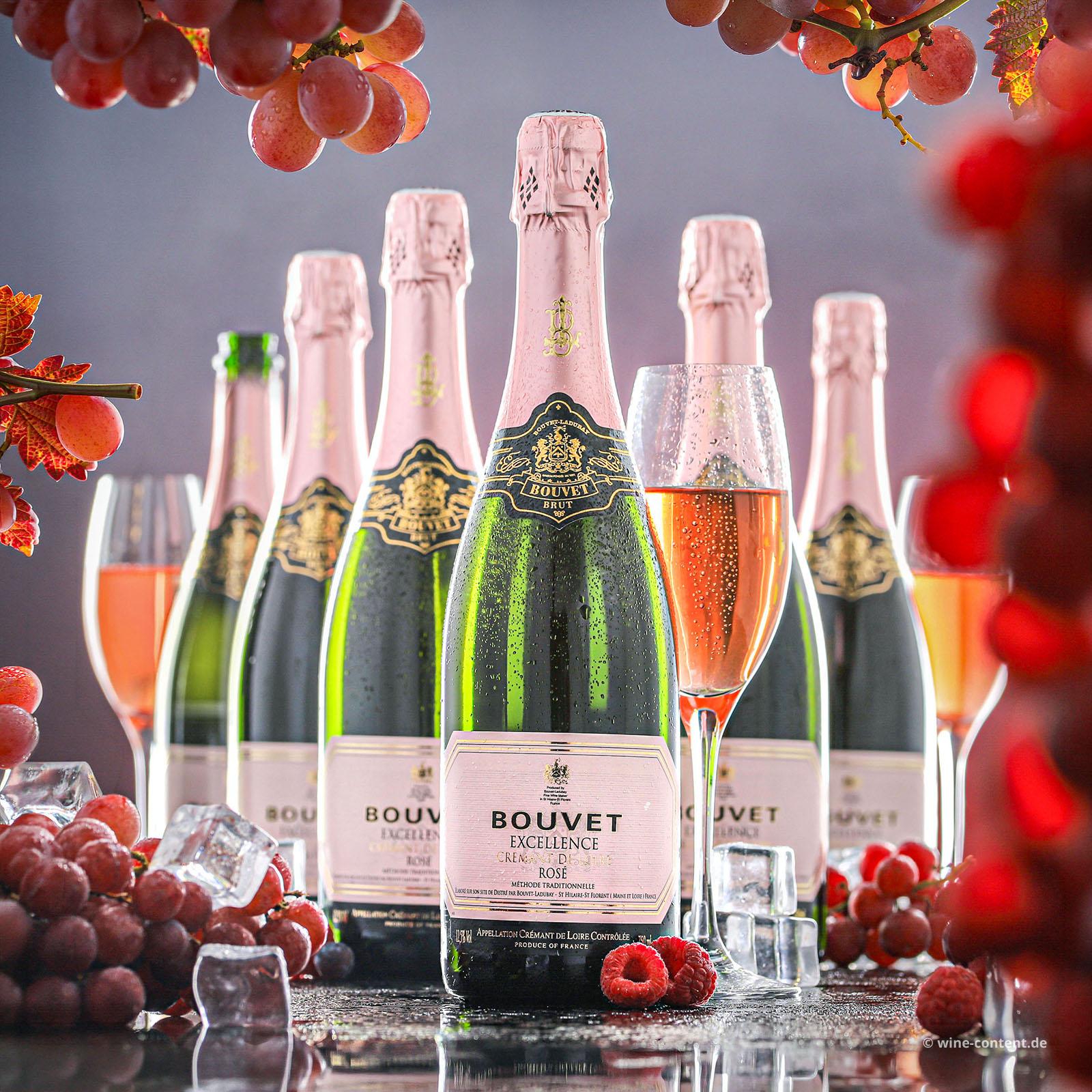 6er-Sparpaket Crémant de Loire Rosé Excellence Brut - NEU