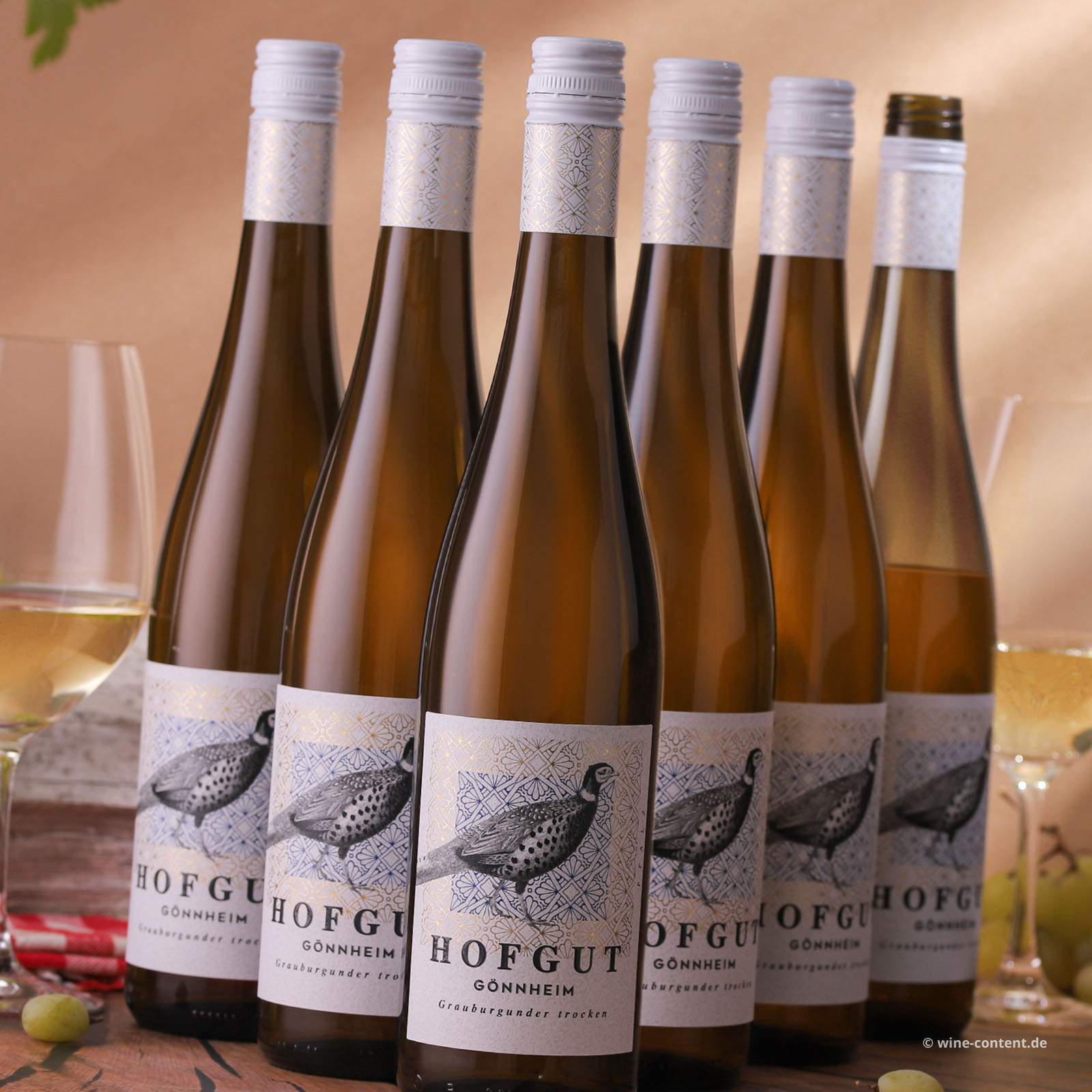 6er-Sparpaket Grauburgunder 2025 Gönnheim Bio