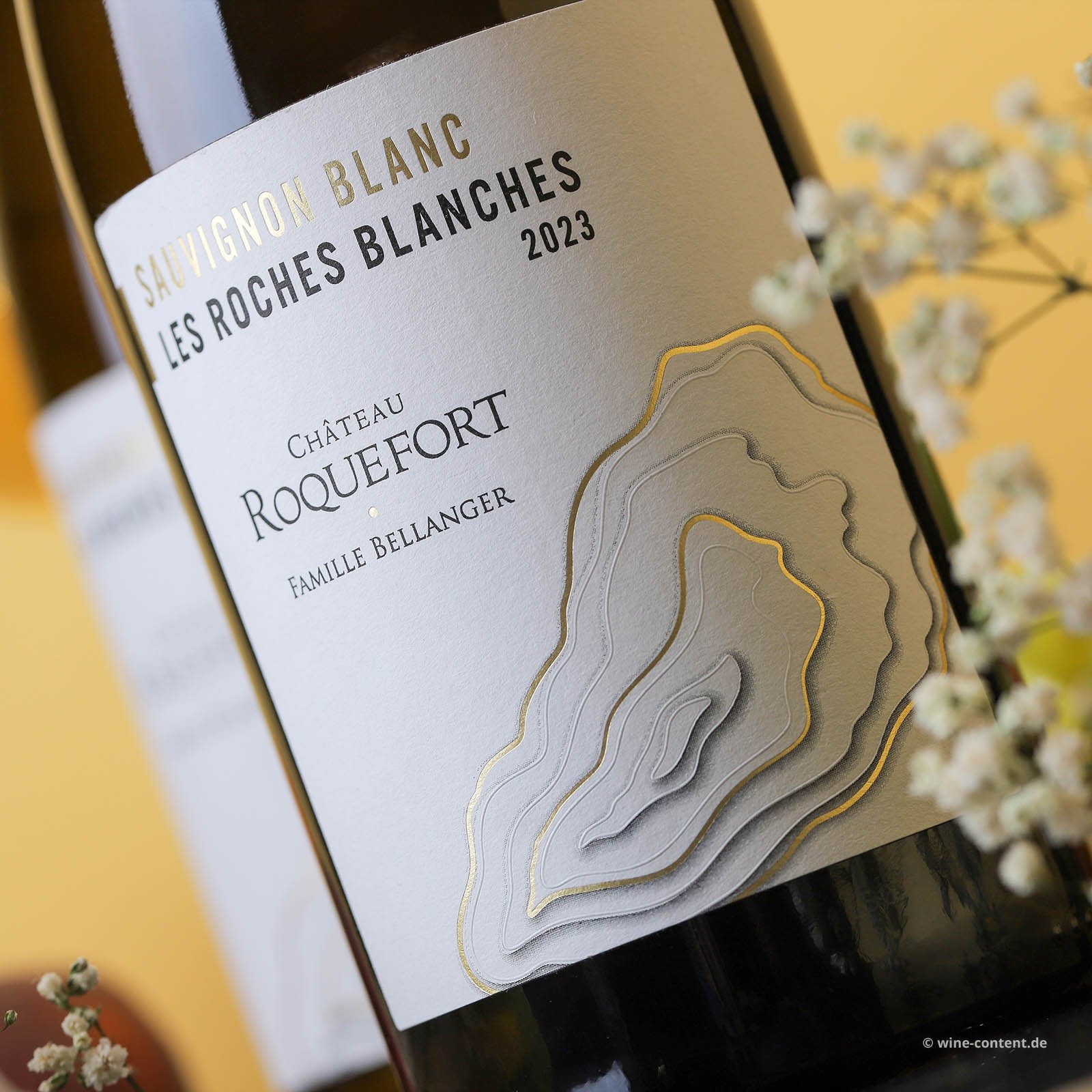 Sauvignon Blanc 2023 Les Roches Blanches