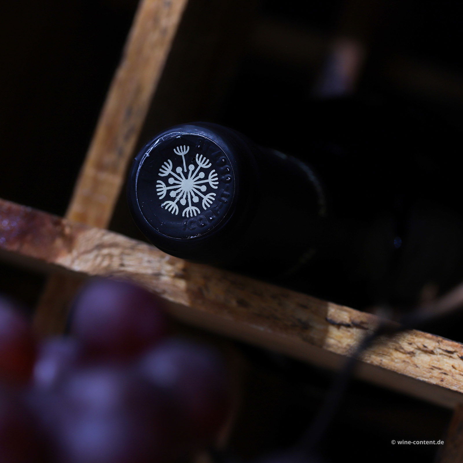 Primitivo 2024 Quota 29