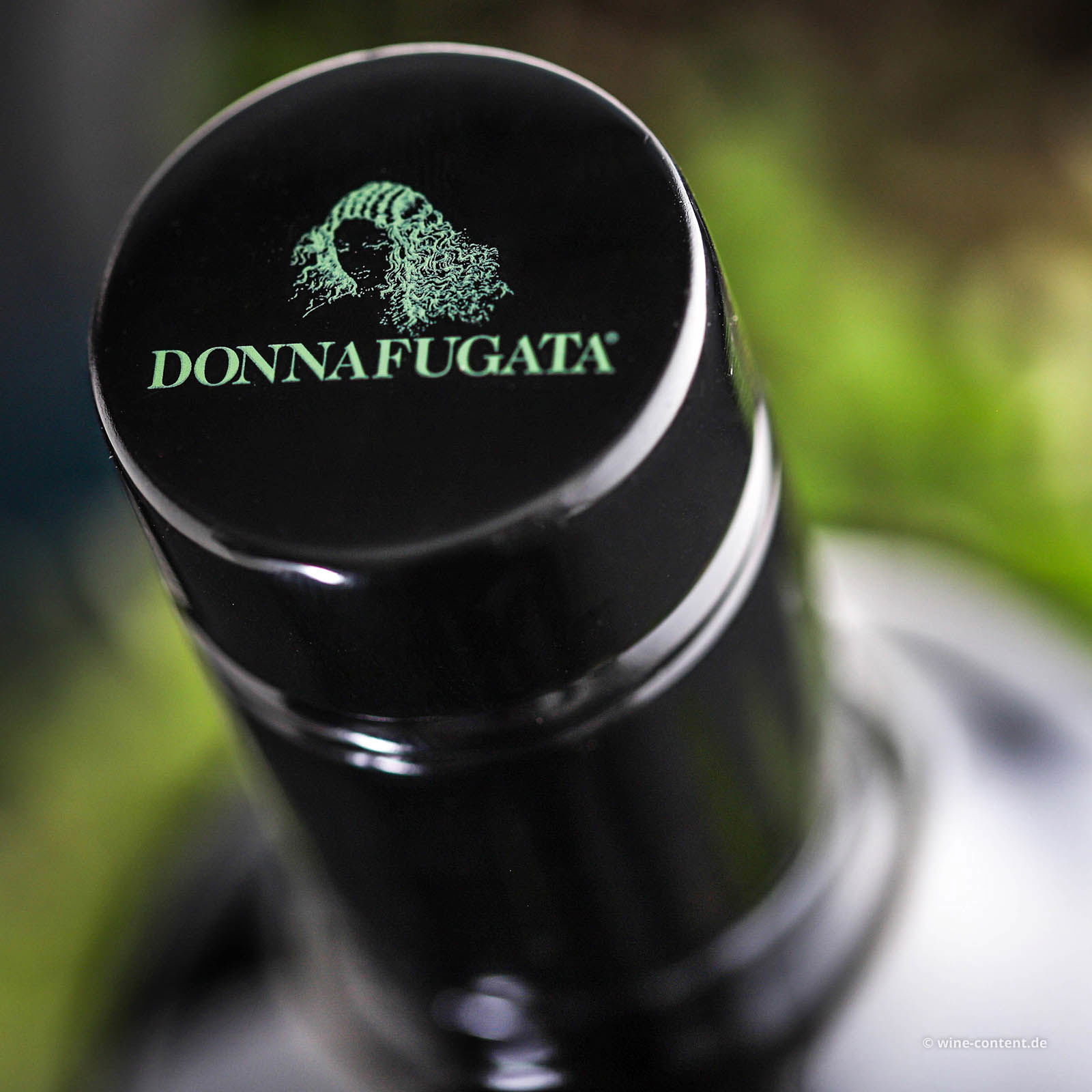 0,5 L Olivenöl Extra Vergine 2025 Biancolilla