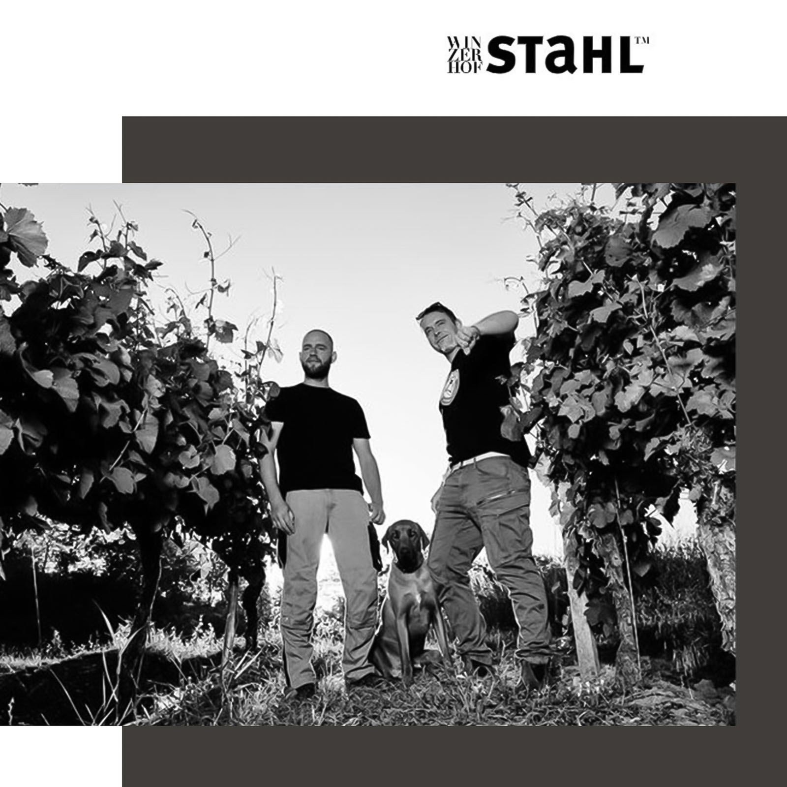 Silvaner 2024