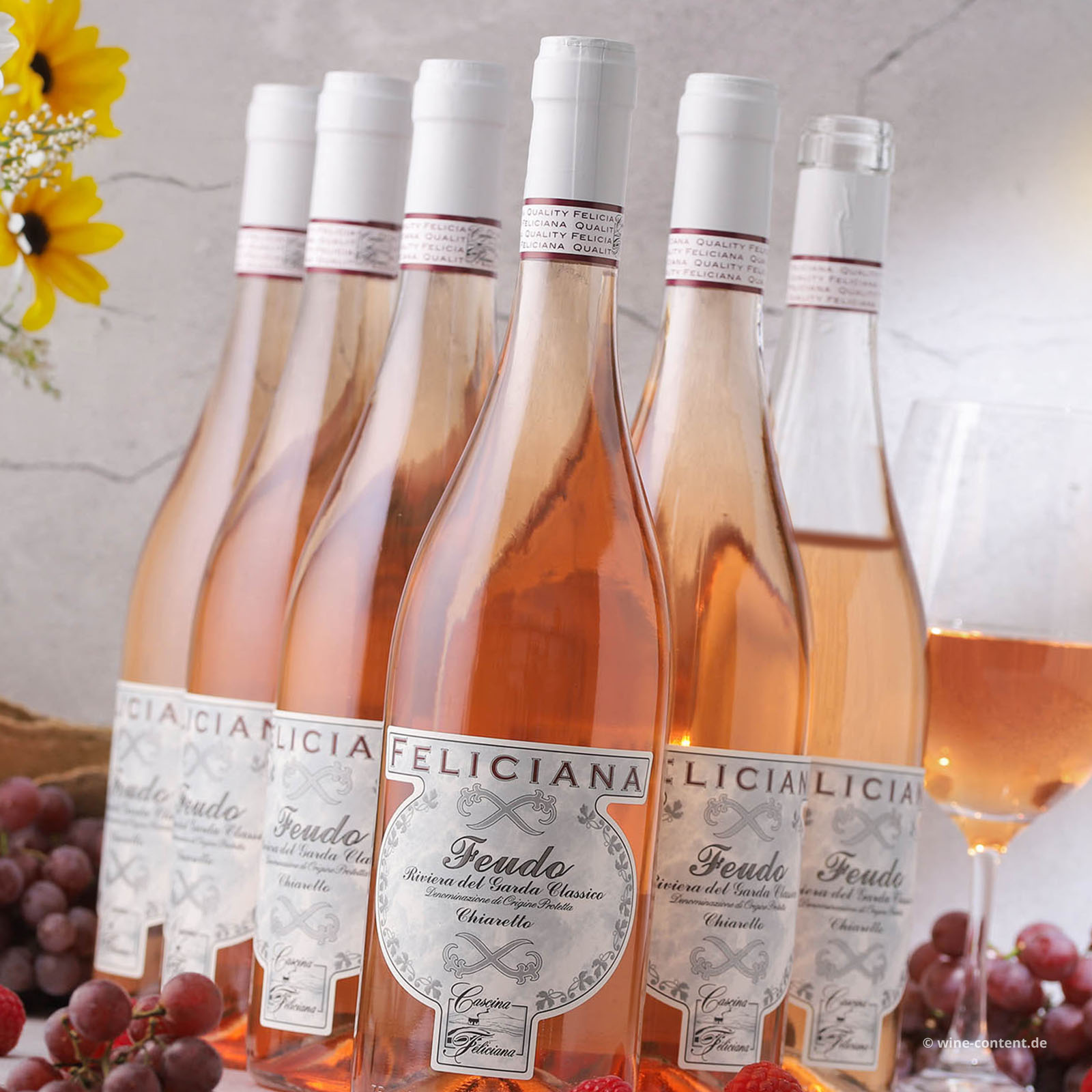 6er-Sparpaket Chiaretto Garda Classico 2025 Feudo