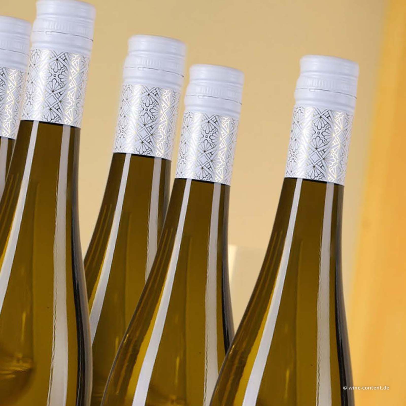 6er-Sparpaket Weißburgunder 2024 Gönnheim Bio