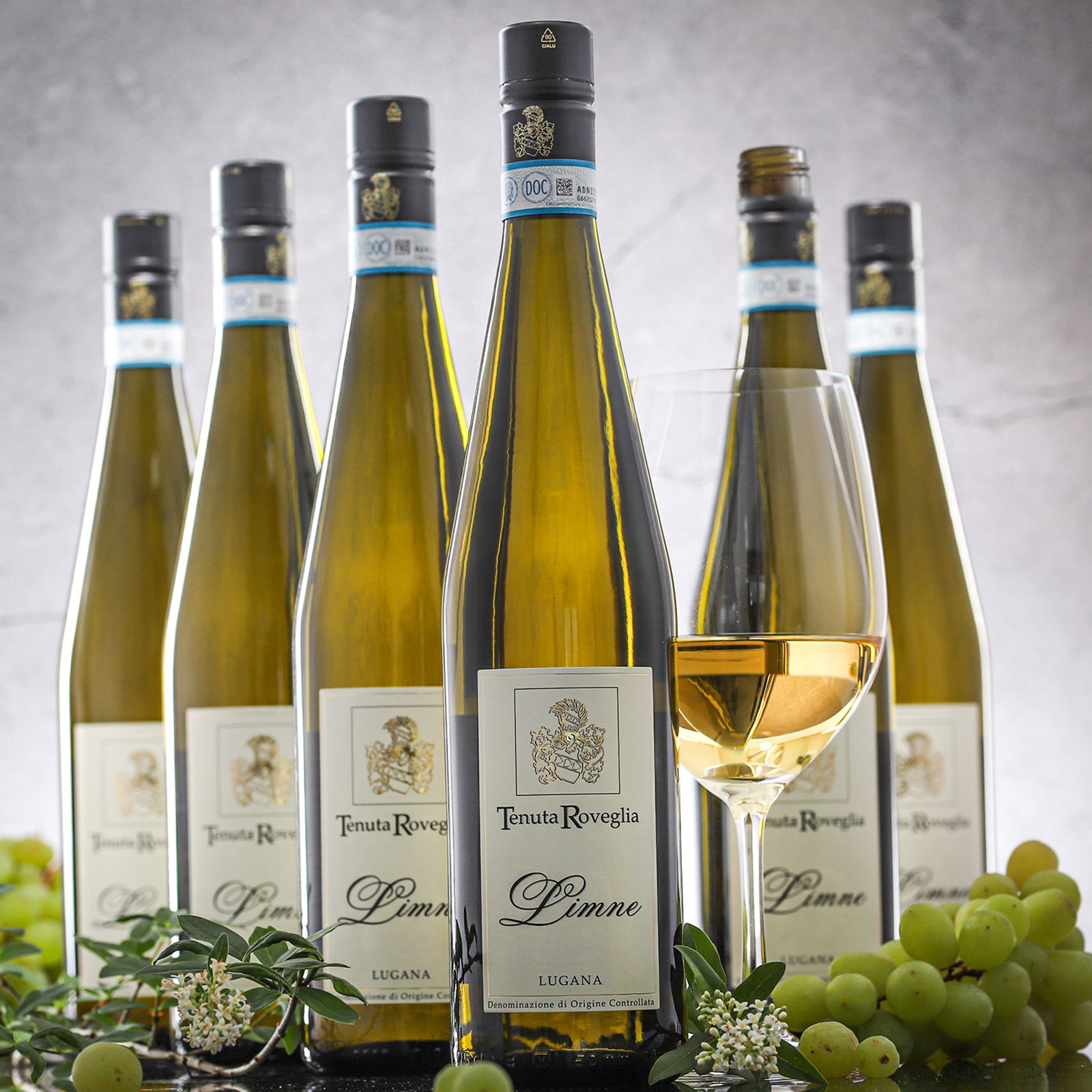 6er-Sparpaket Lugana 2025 Limne