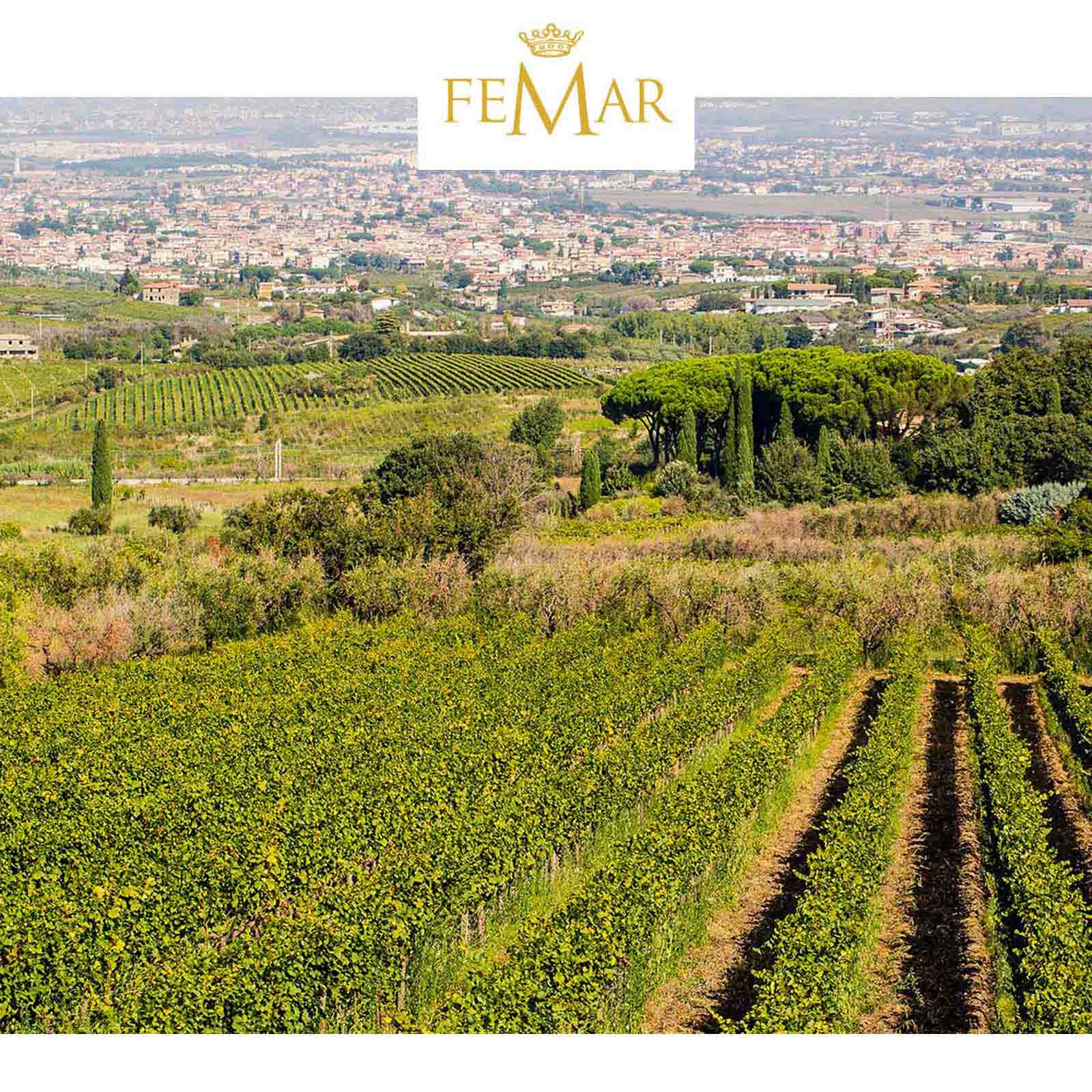 Chardonnay-Fiano 2024 Gran Appasso