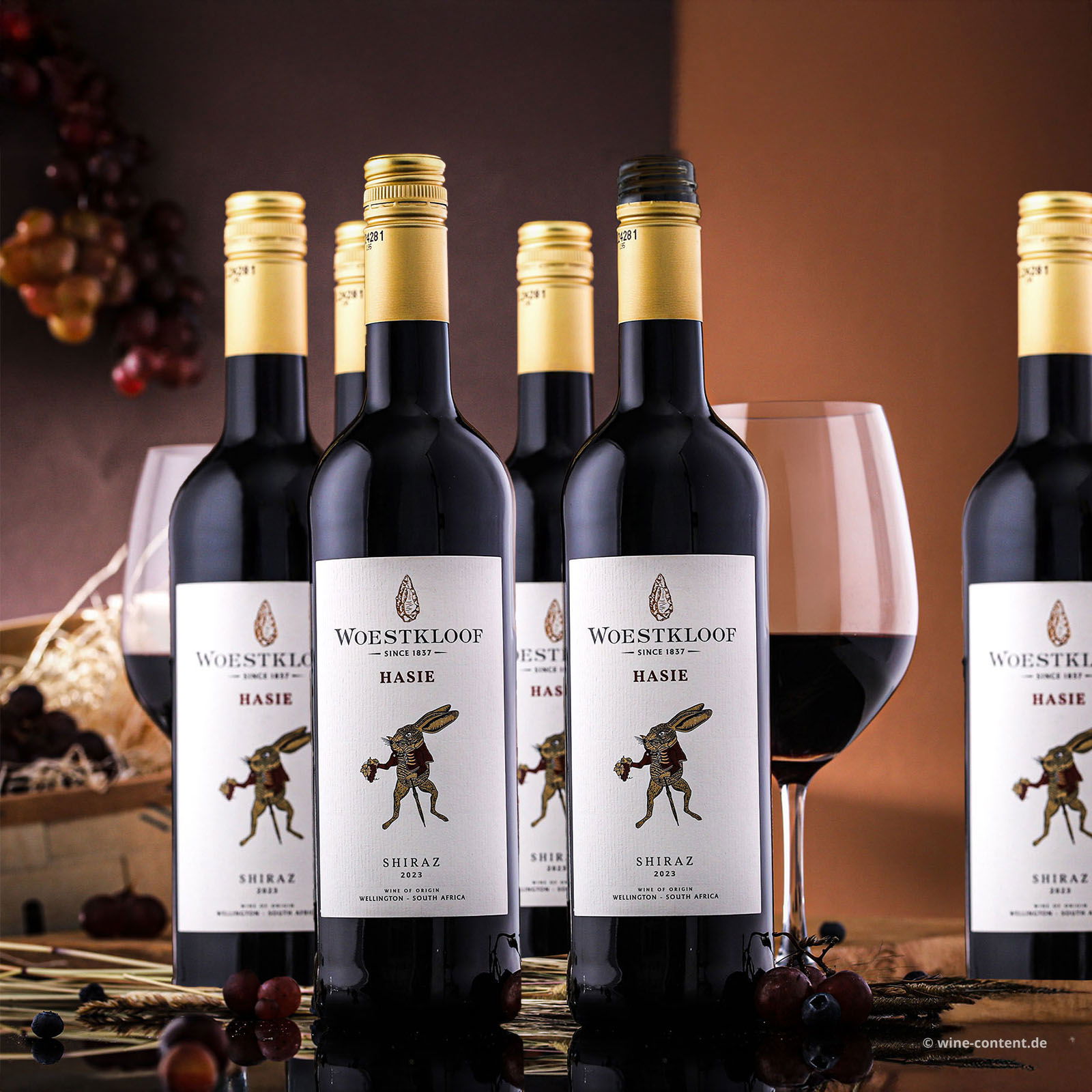 5+1 Sparpaket Shiraz 2023 Hasie