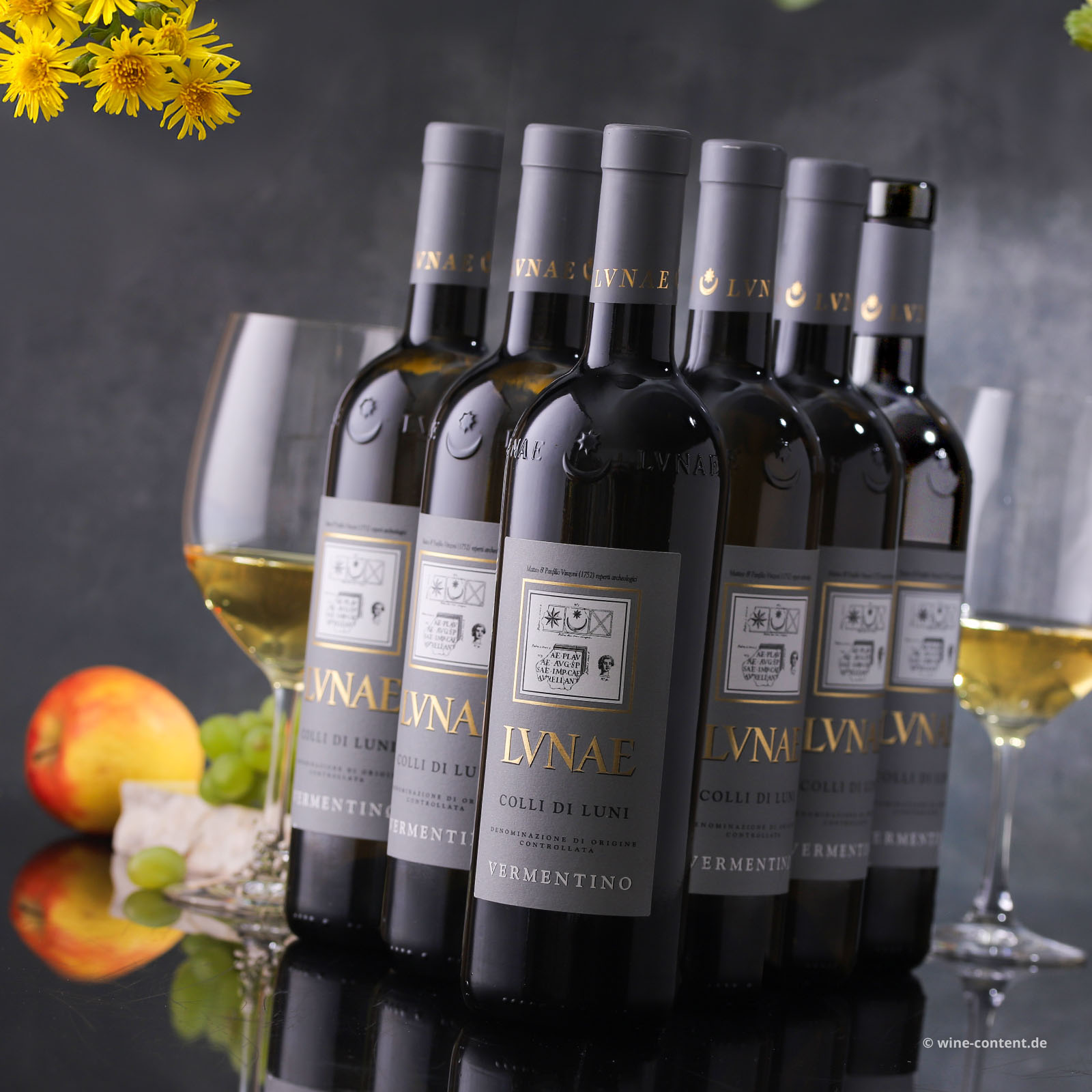 6er-Sparpaket Vermentino Colli di Luni 2025 Etichetta Grigia