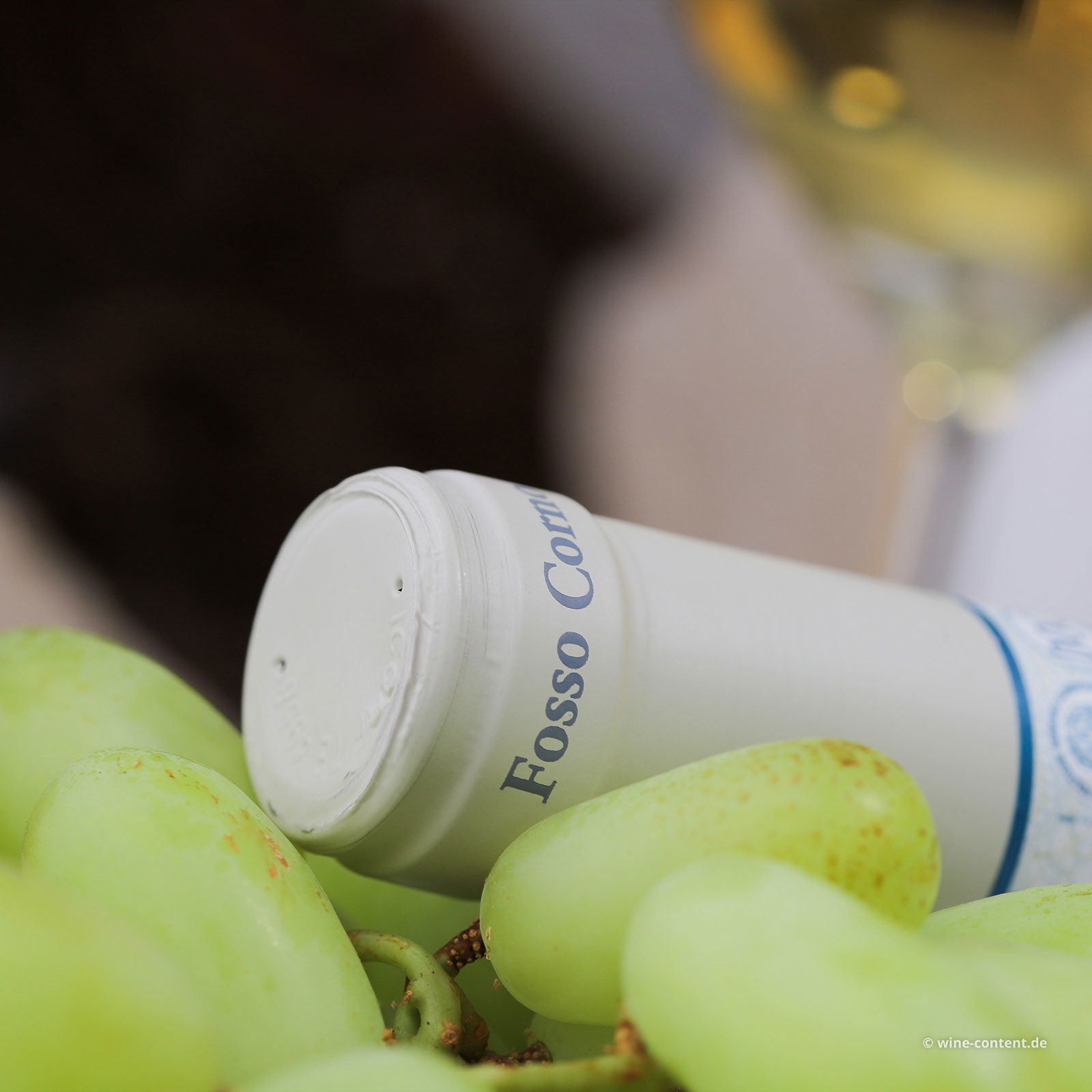Pecorino Abruzzo 2024 Orsus