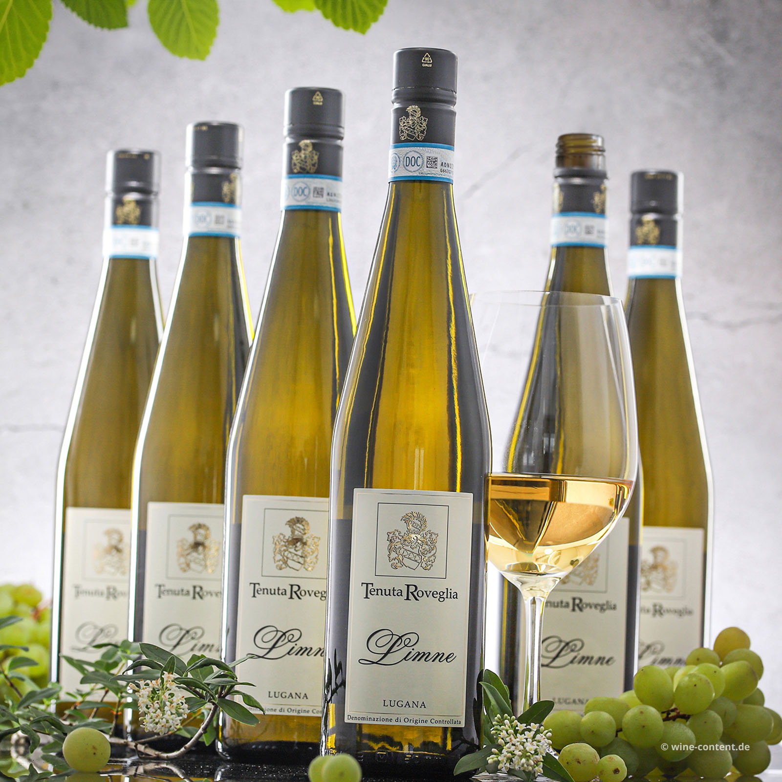 6er-Sparpaket Lugana 2025 Limne