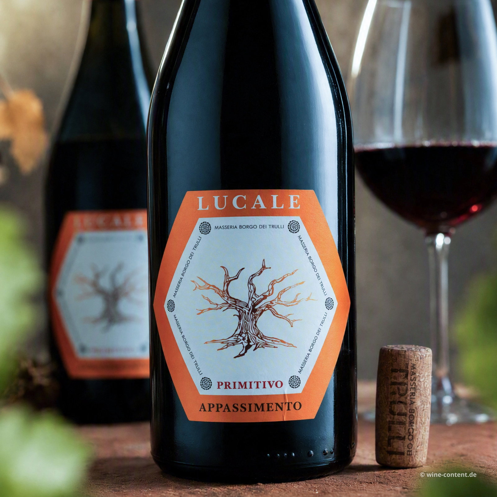Primitivo Appassimento 2025 Lucale