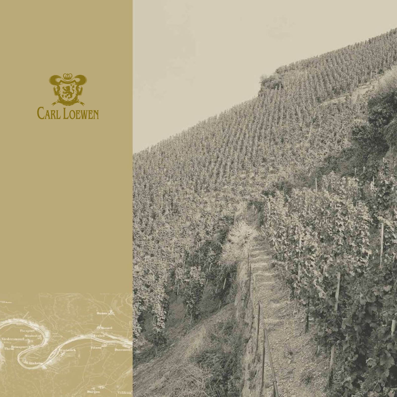 Riesling Erste Lage 2023 Maximin Herrenberg 1896 Black Label