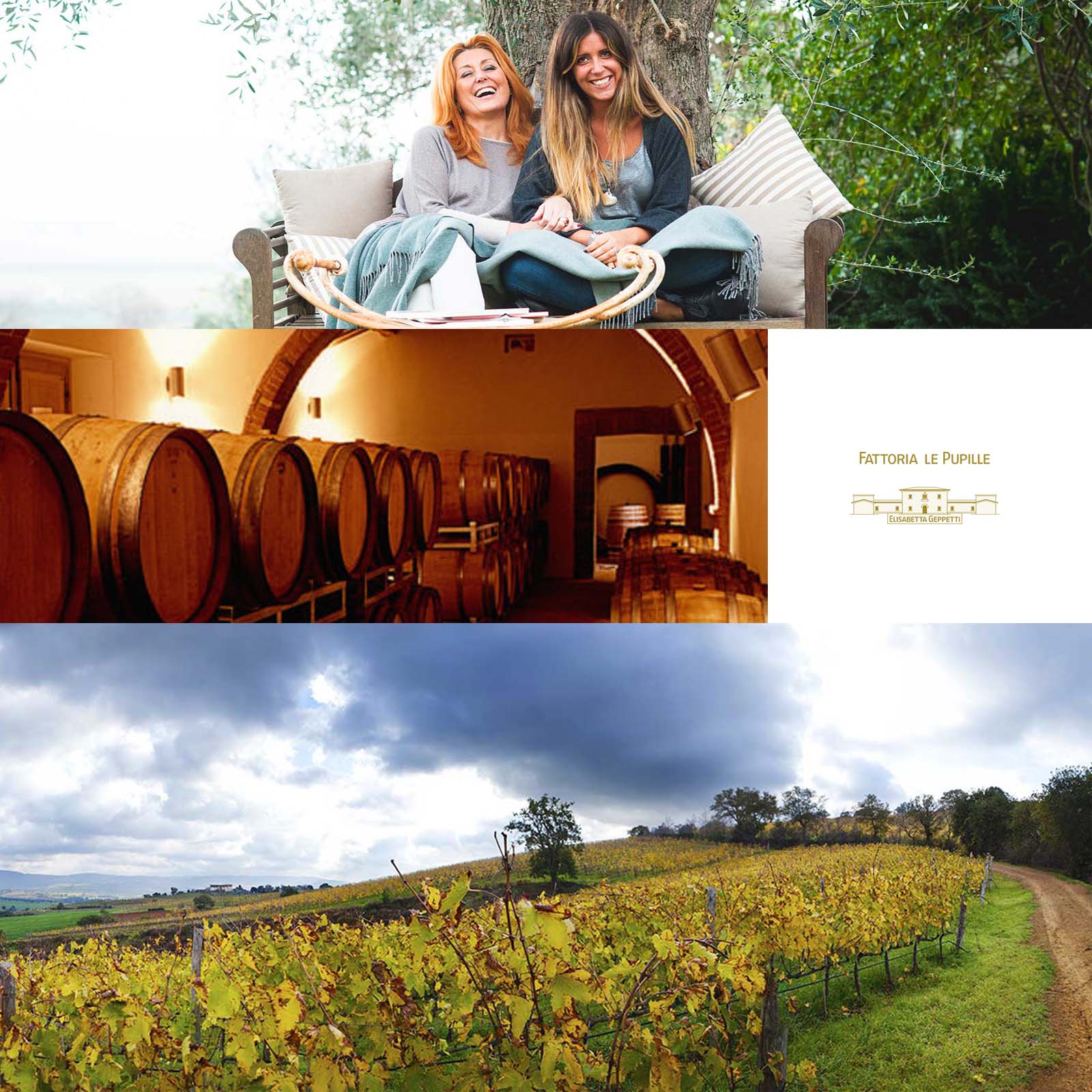 Syrah Toscana 2021
