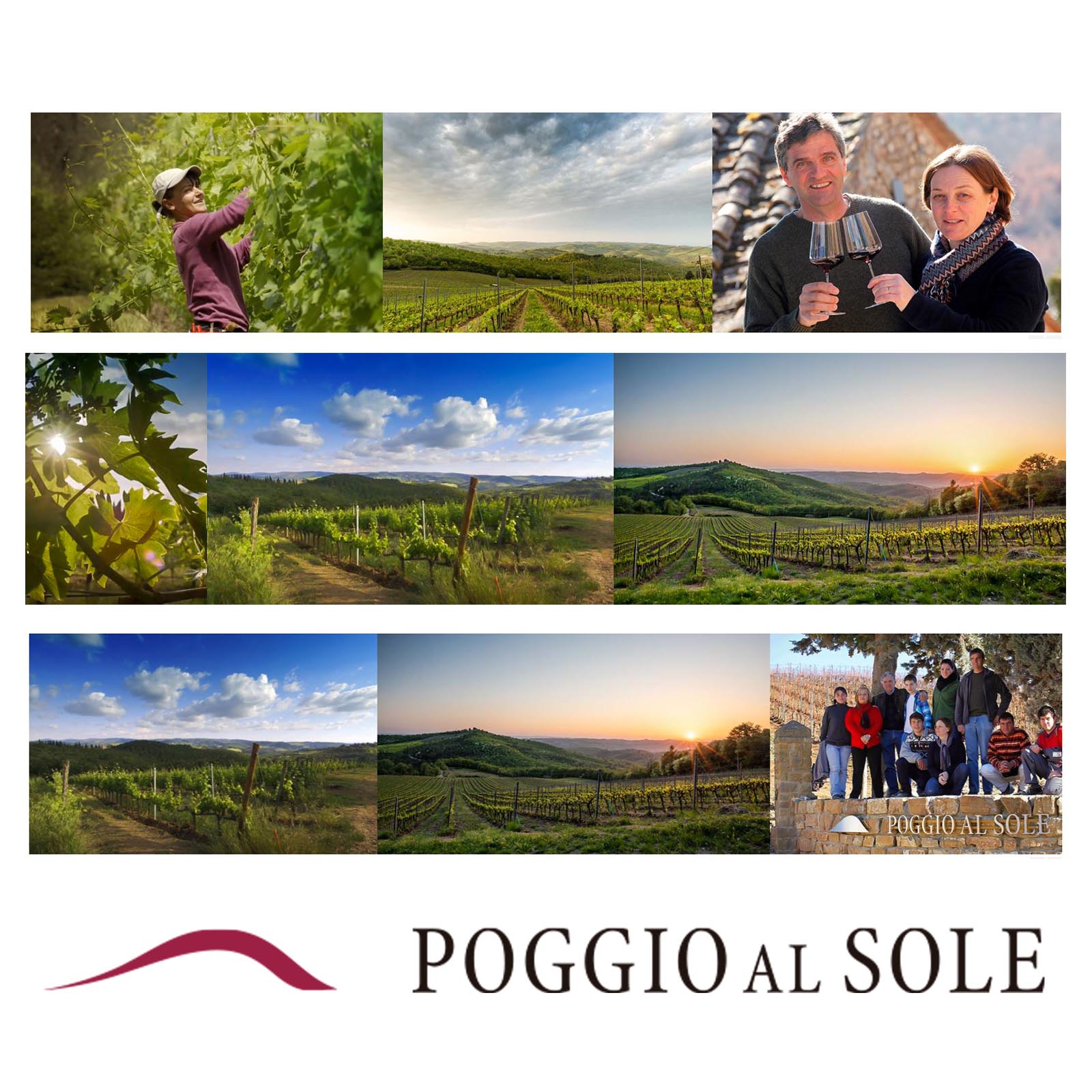 Sangiovese Bianco Toscana 2024 Bio