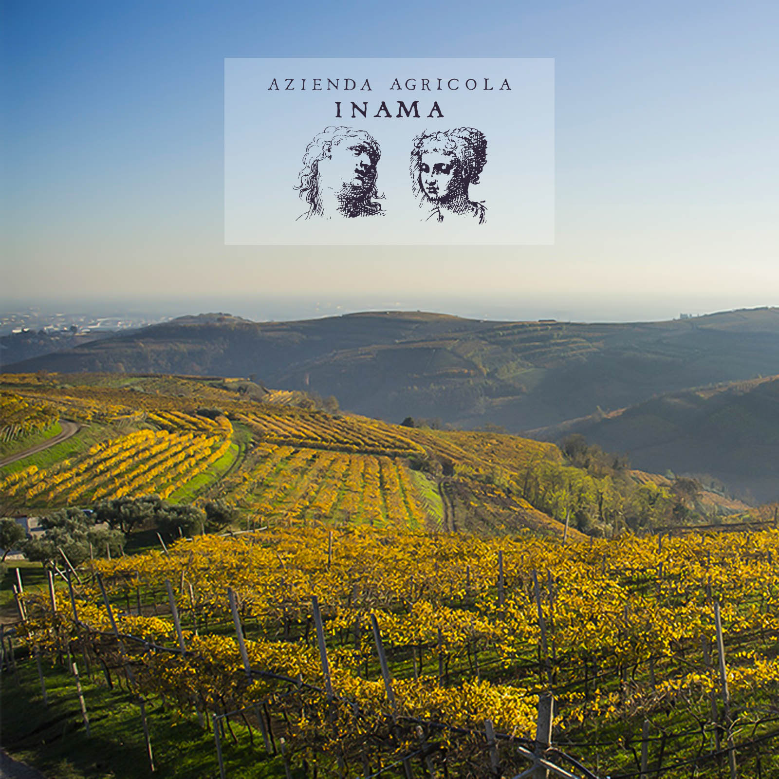 Chardonnay del Veneto 2025