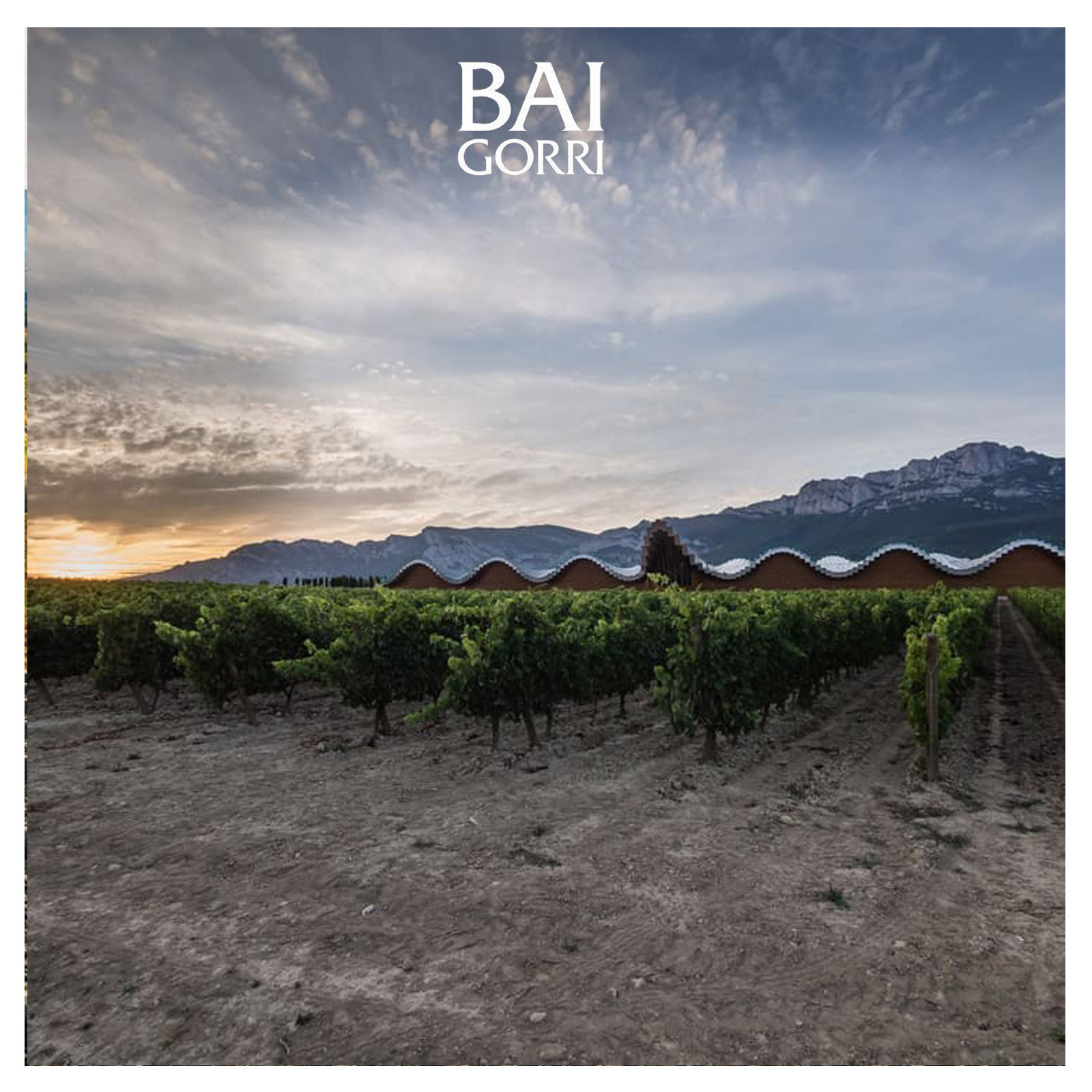 Rioja Crianza 2022 Mendi